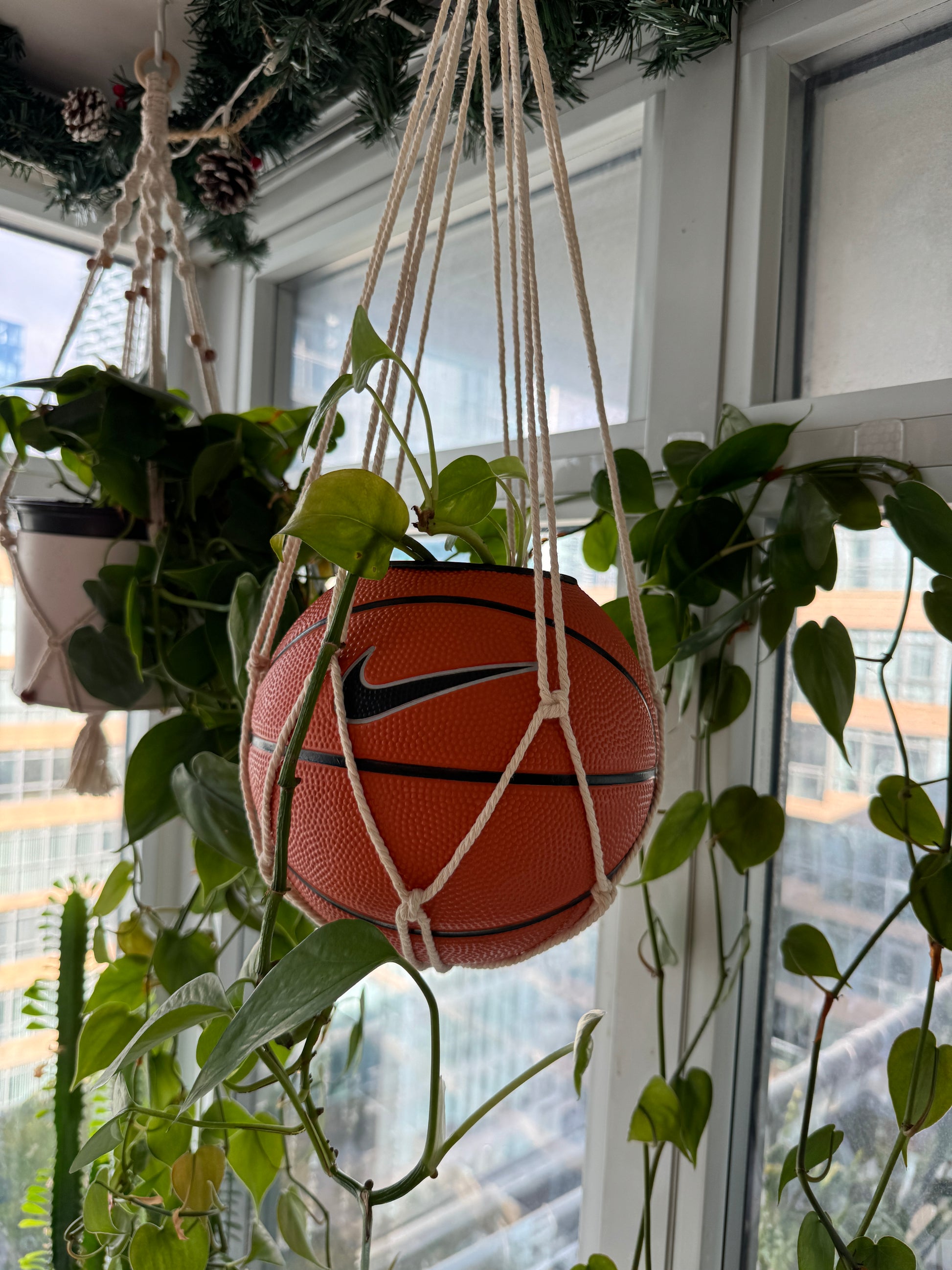 Nike Mini Basketball Hanging Planter (White Macrame OG)
