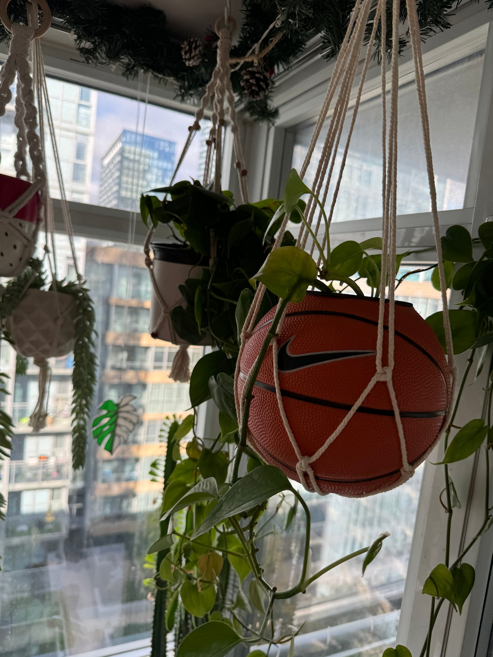 Nike Mini Basketball Hanging Planter (White Macrame OG)