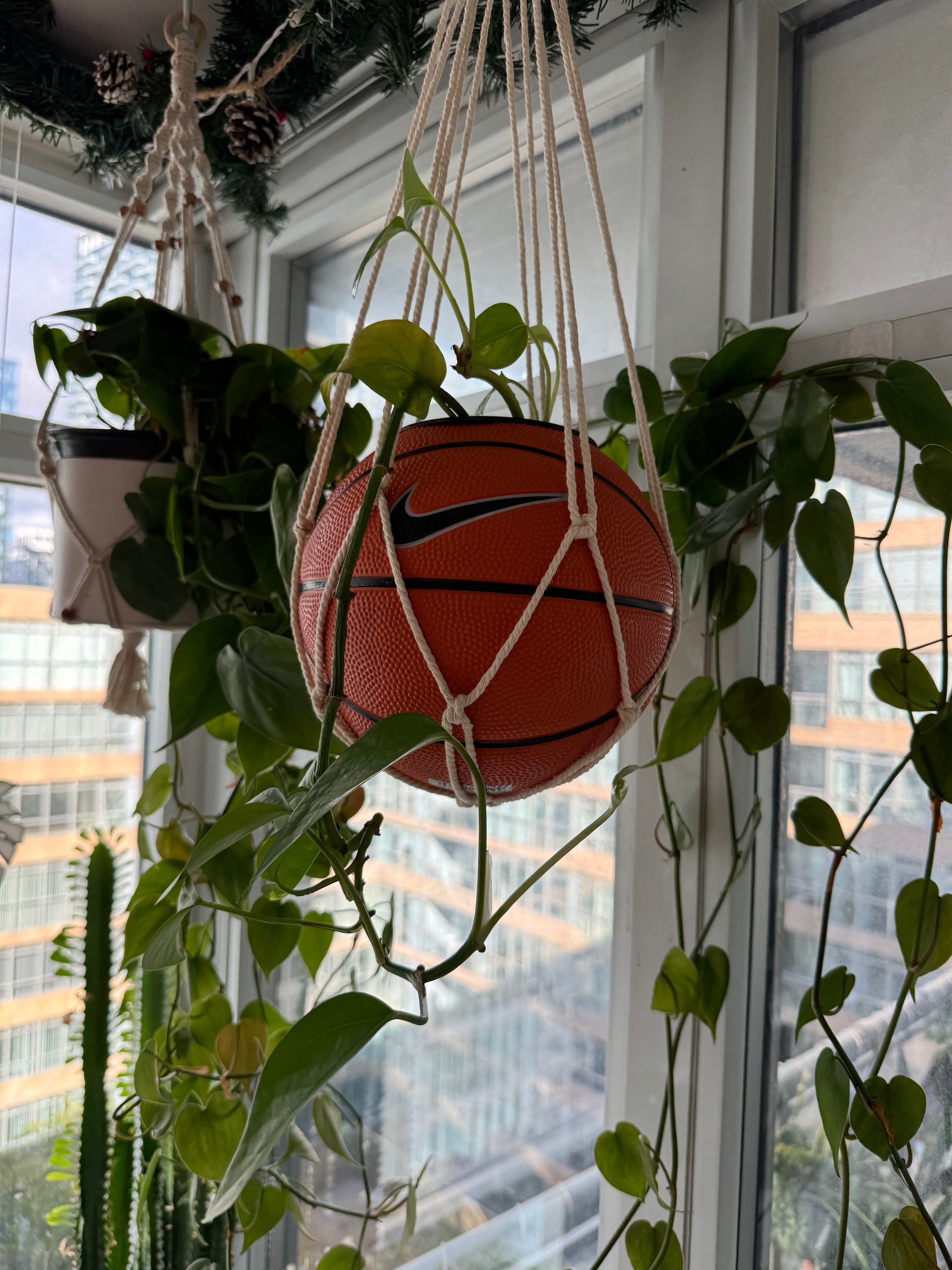 Nike Mini Basketball Hanging Planter (White Macrame OG)