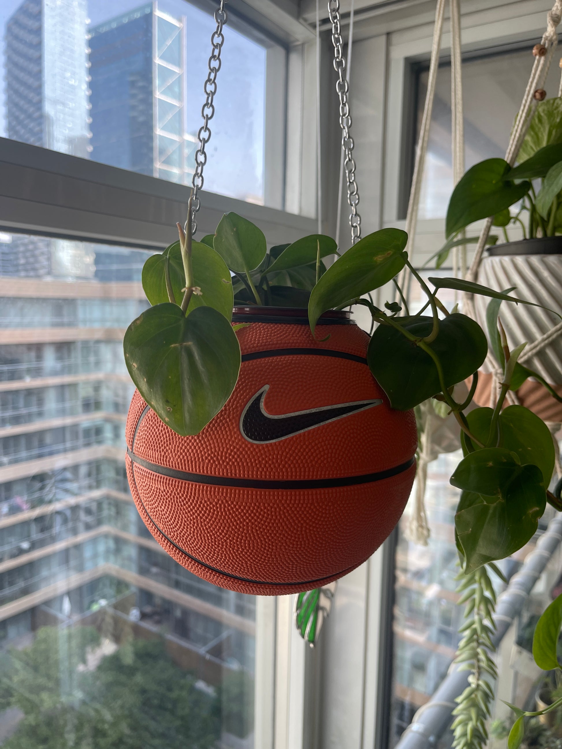 Nike Mini Basketball Hanging Planter (Silver Chain OG)