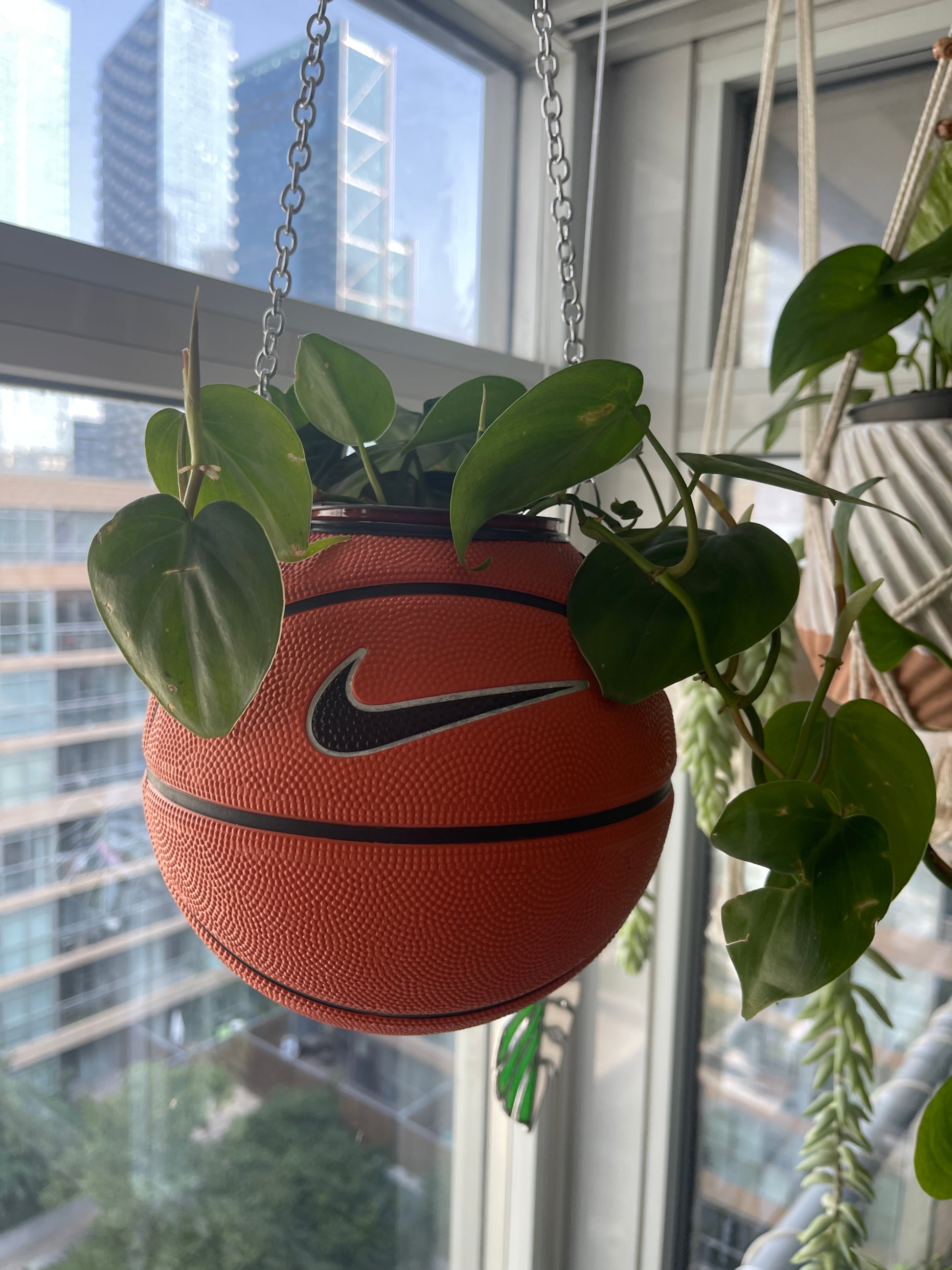 Nike Mini Basketball Hanging Planter (Silver Chain OG)
