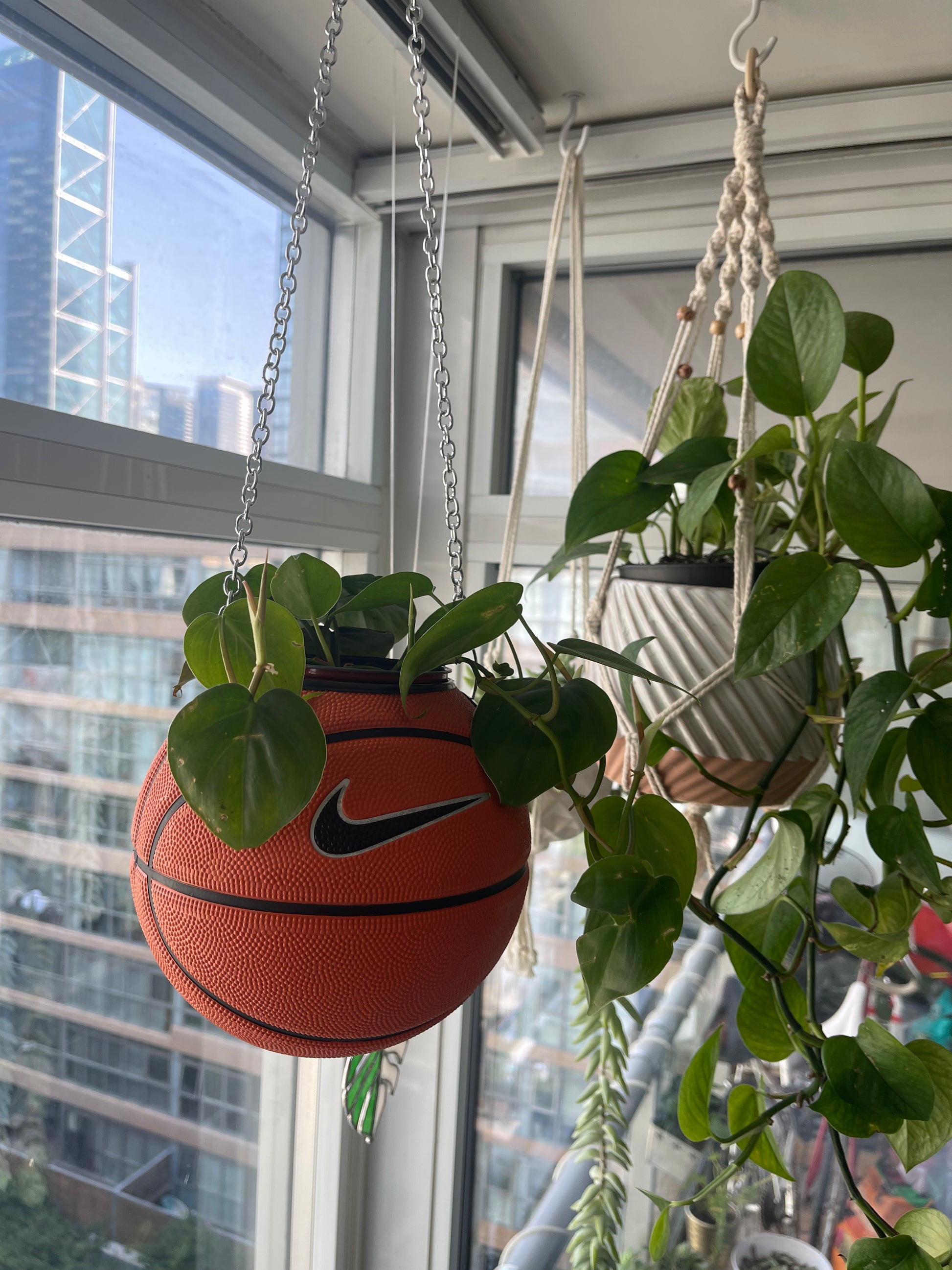 Nike Mini Basketball Hanging Planter (Silver Chain OG)