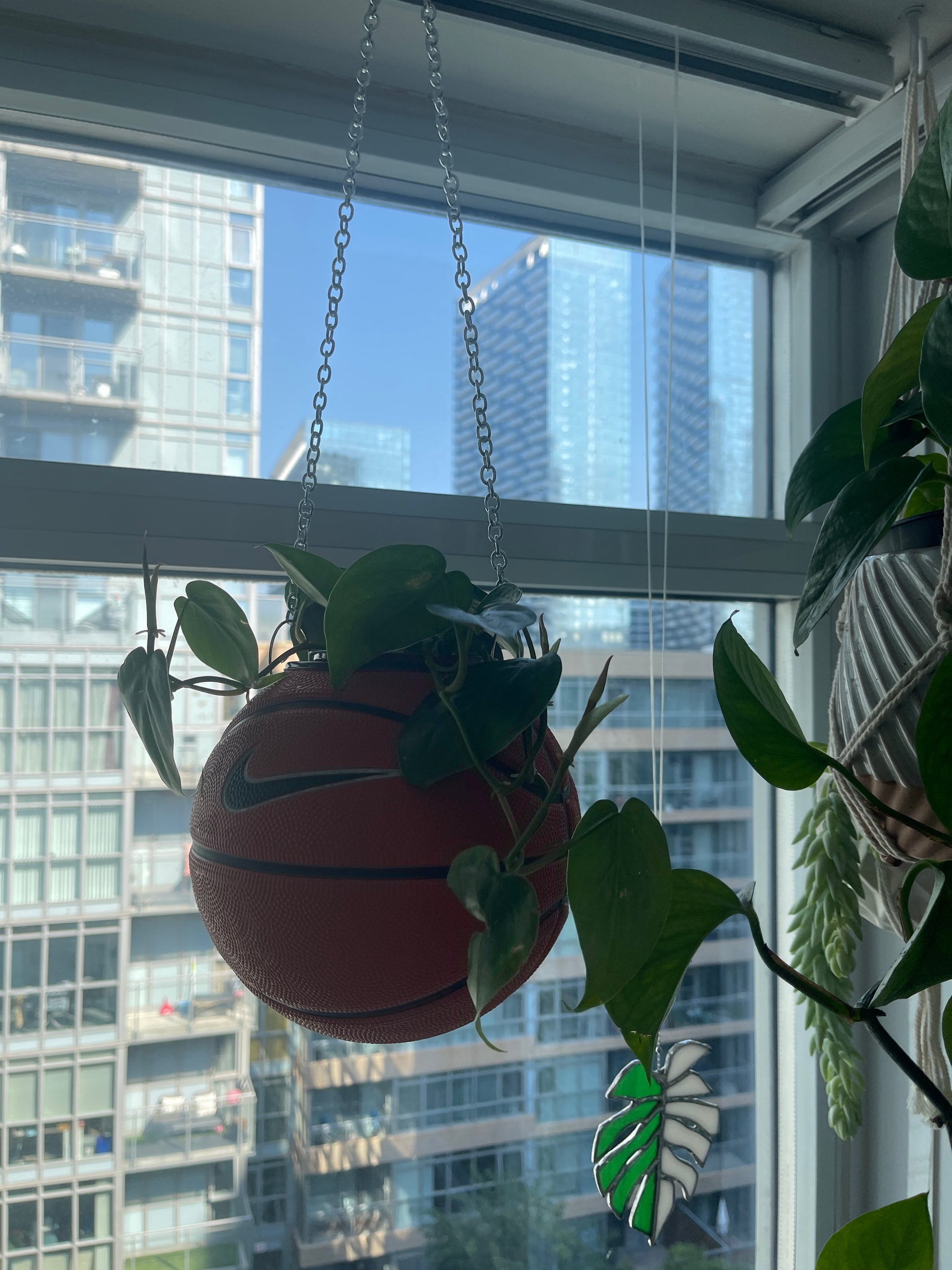 Nike Mini Basketball Hanging Planter (Silver Chain OG)
