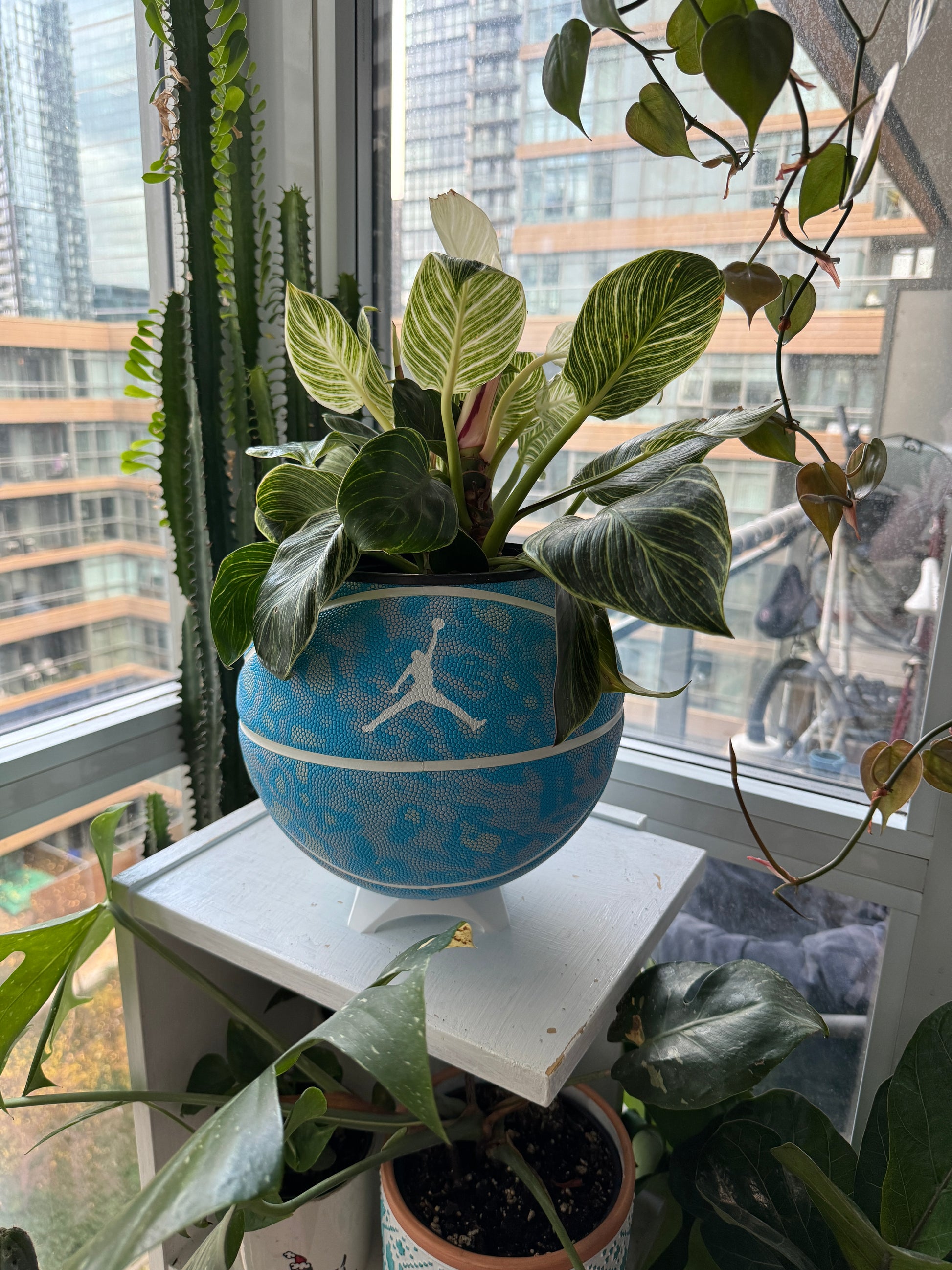 Nike Large Basketball Planter (Blue Flight)