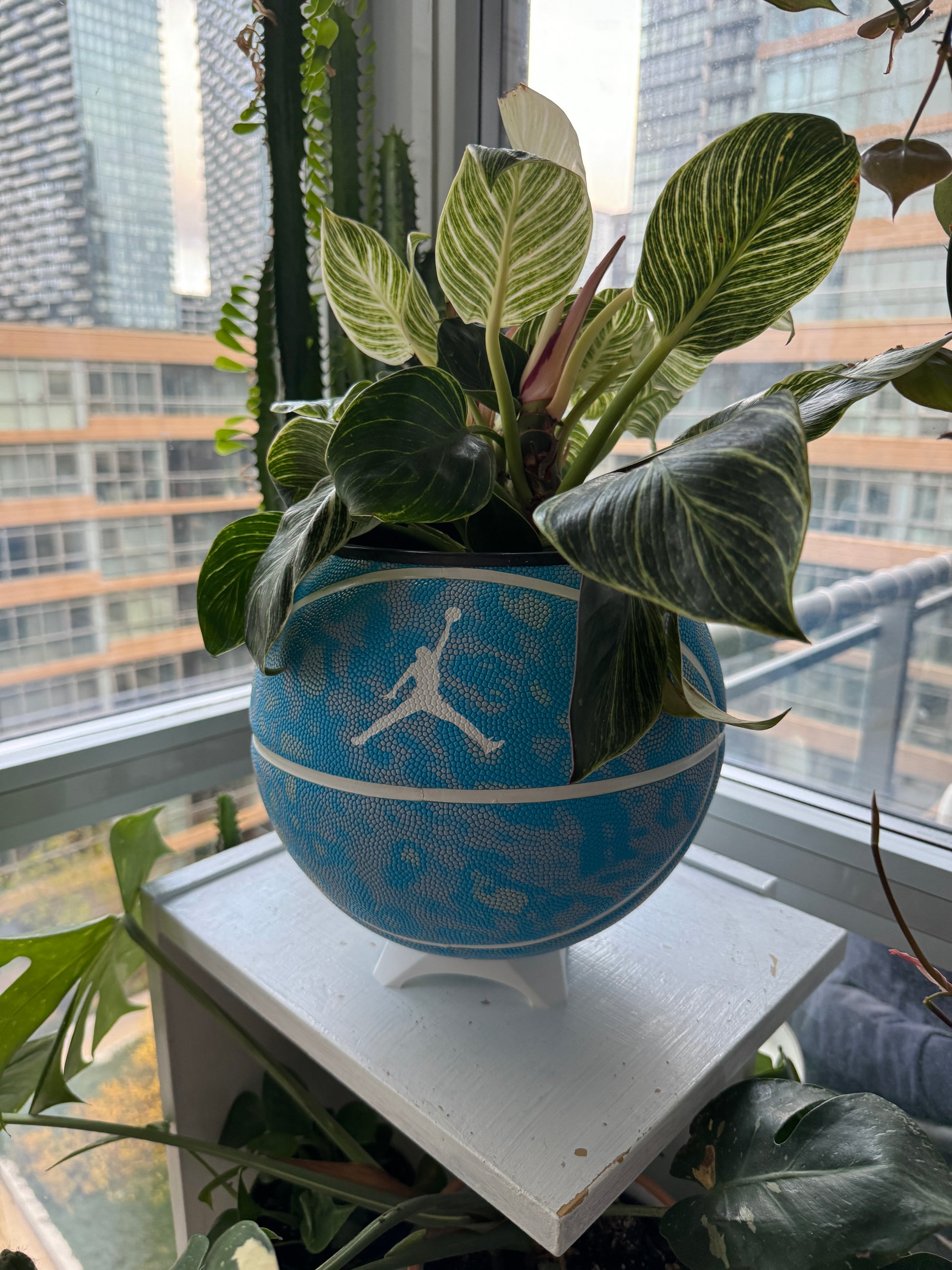 Nike Large Basketball Planter (Blue Flight)