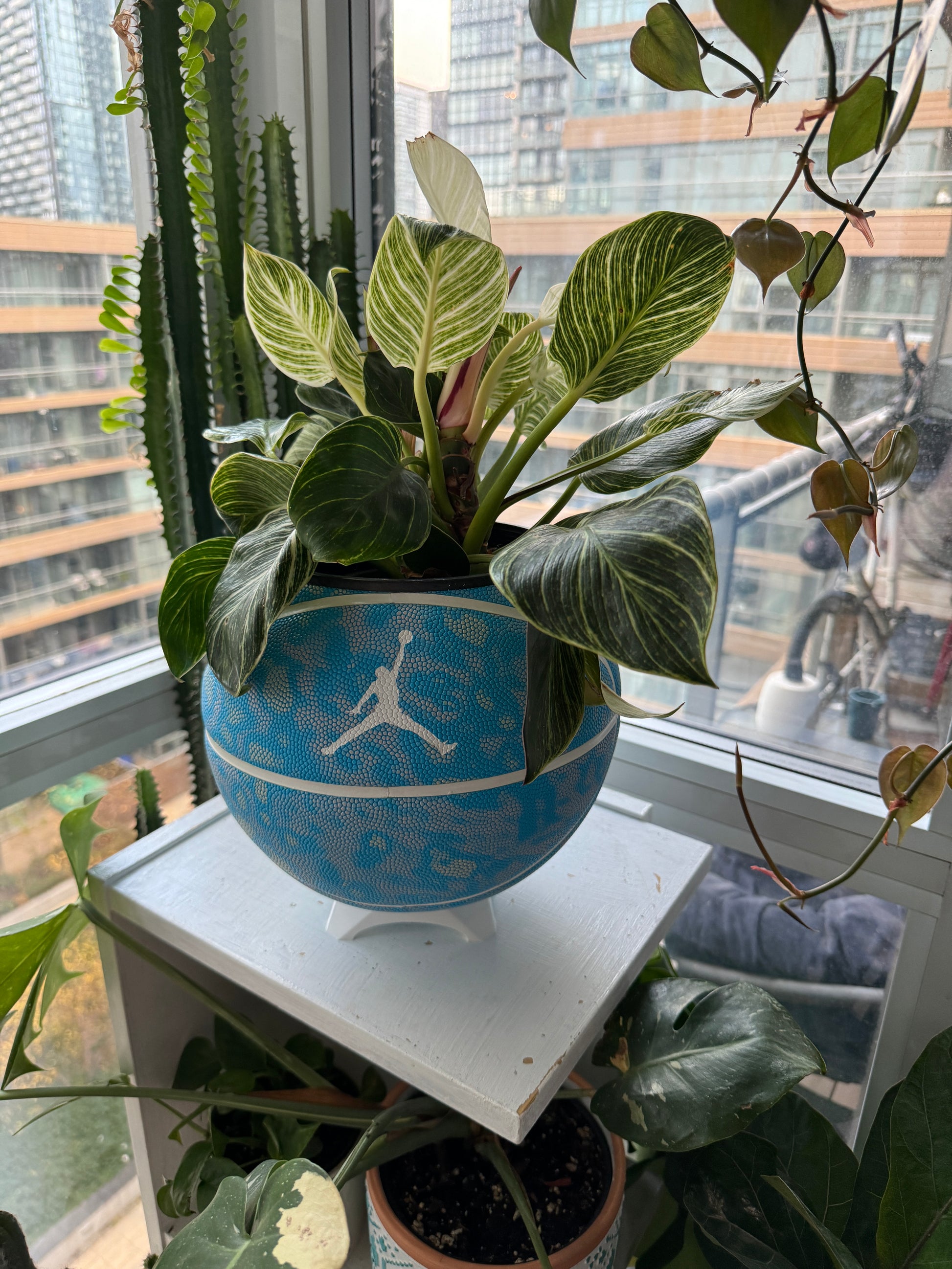 Nike Large Basketball Planter (Blue Flight)