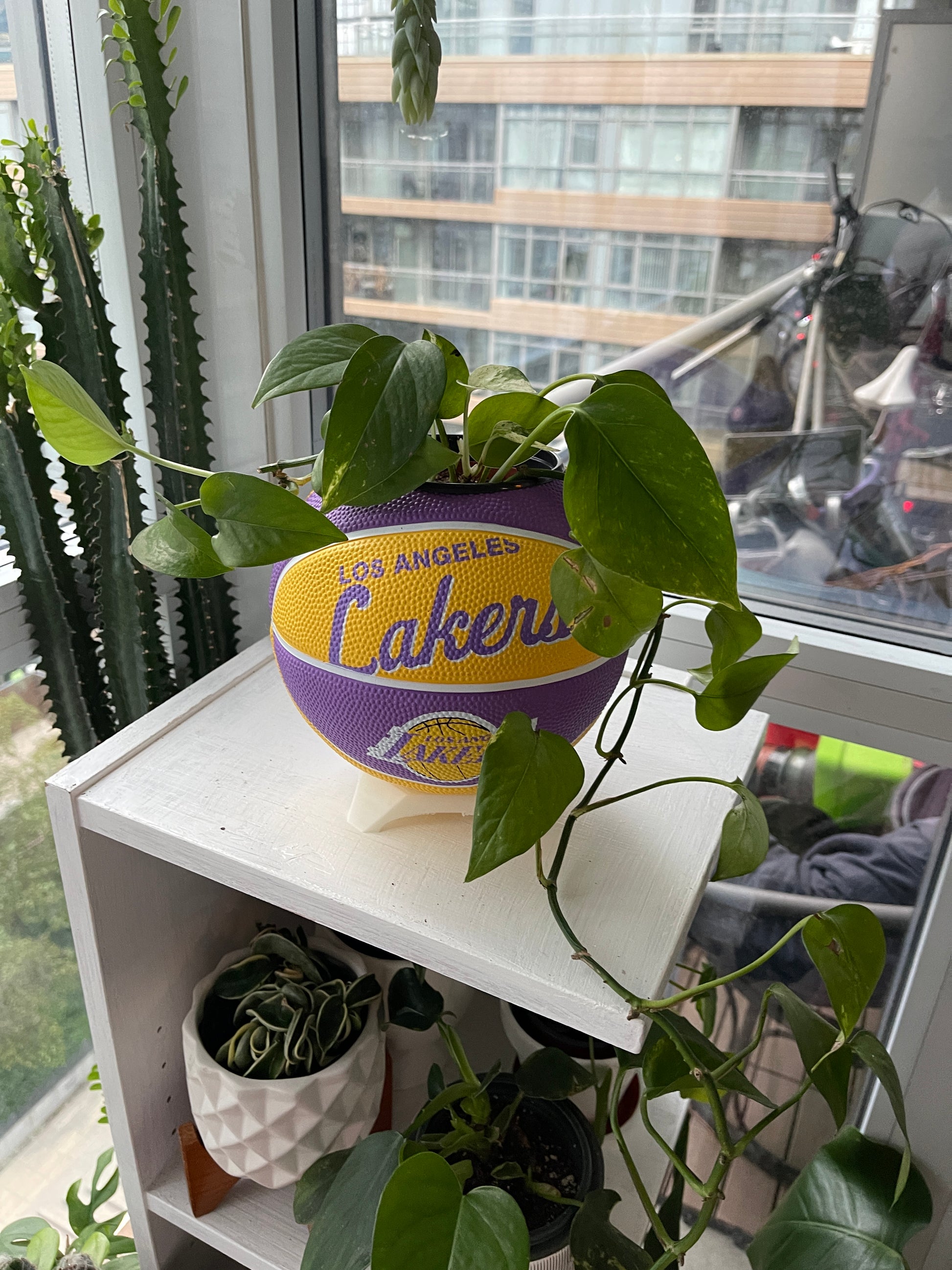 Mini Basketball Planter (Los Angeles Lakers)