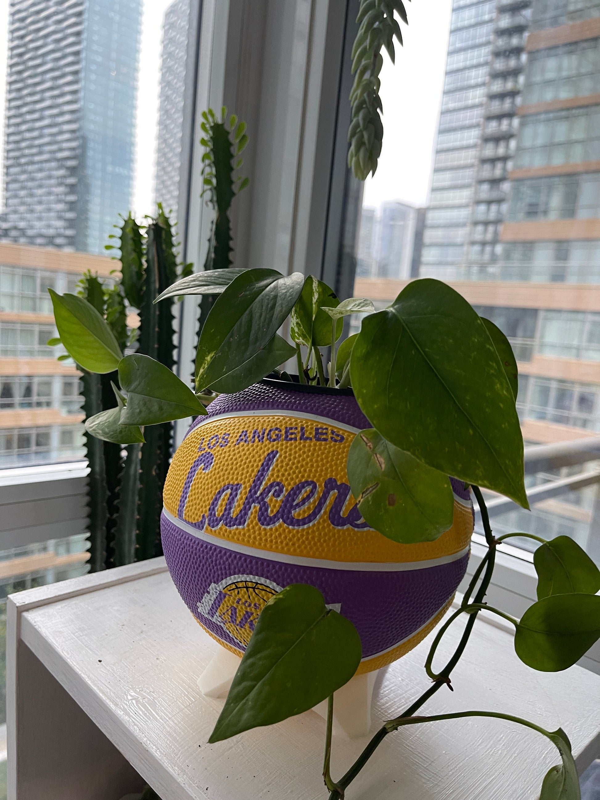 Mini Basketball Planter (Los Angeles Lakers)