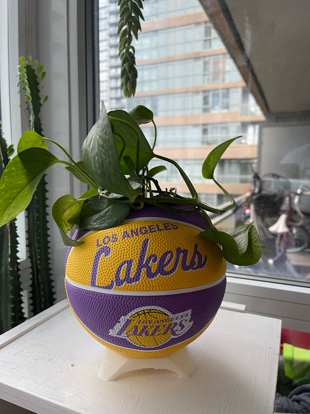 Mini Basketball Planter (Los Angeles Lakers)