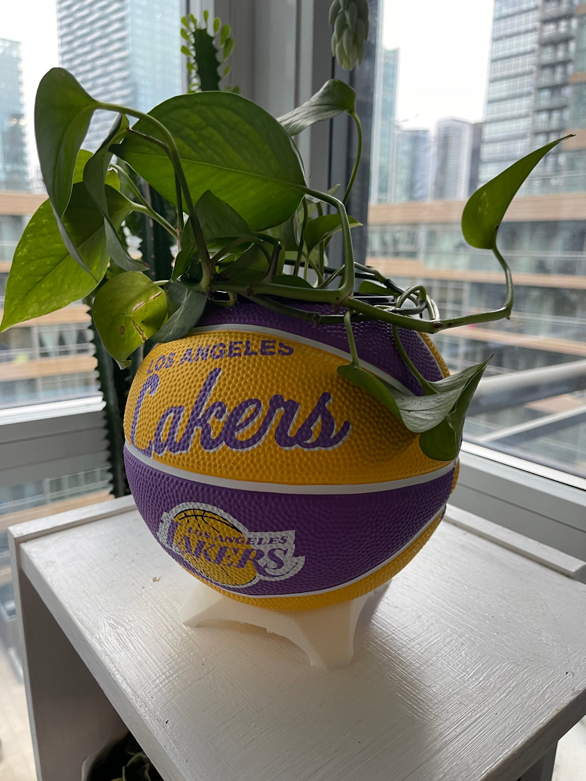 Mini Basketball Planter (Los Angeles Lakers)