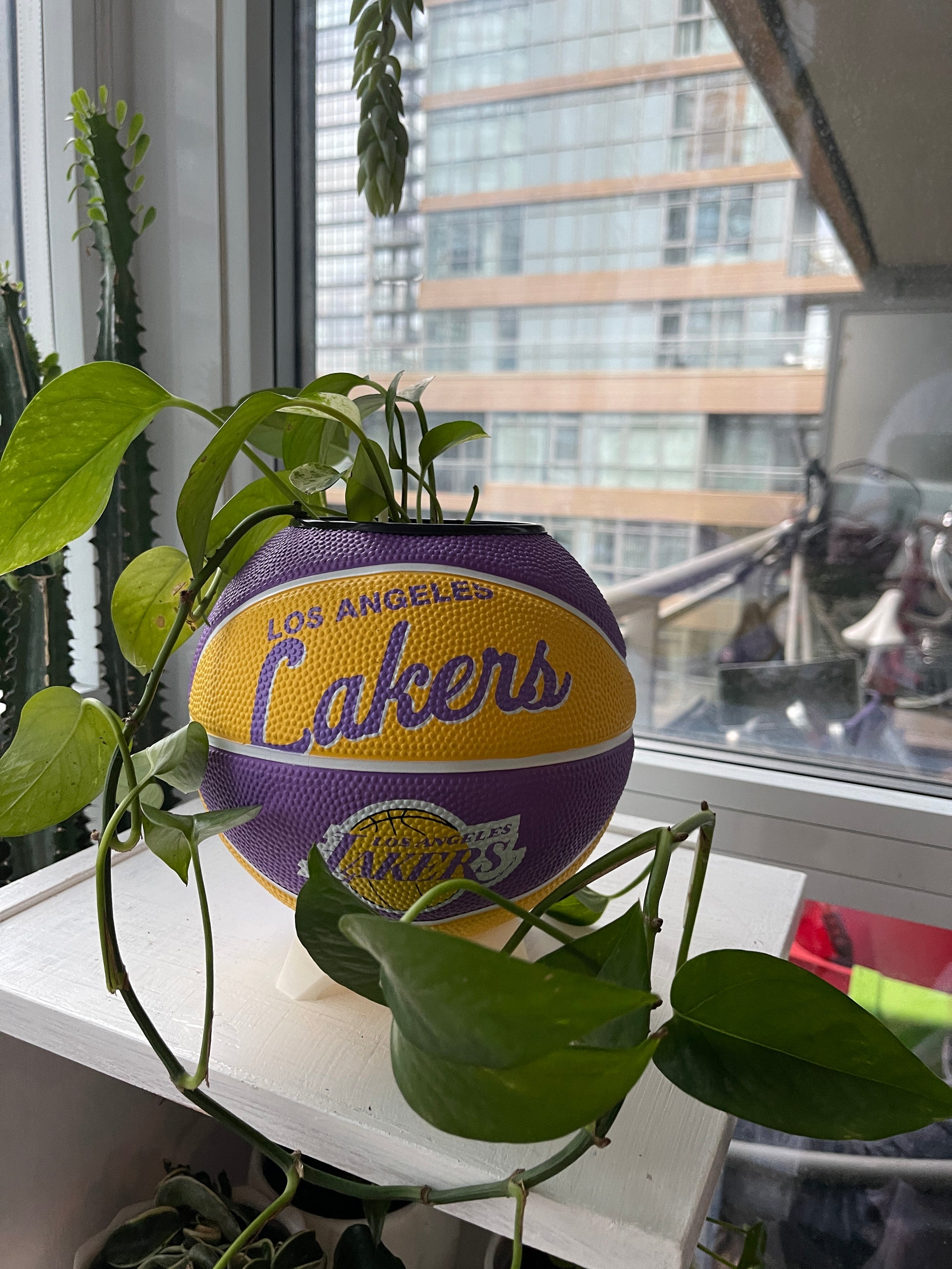 Mini Basketball Planter (Los Angeles Lakers)