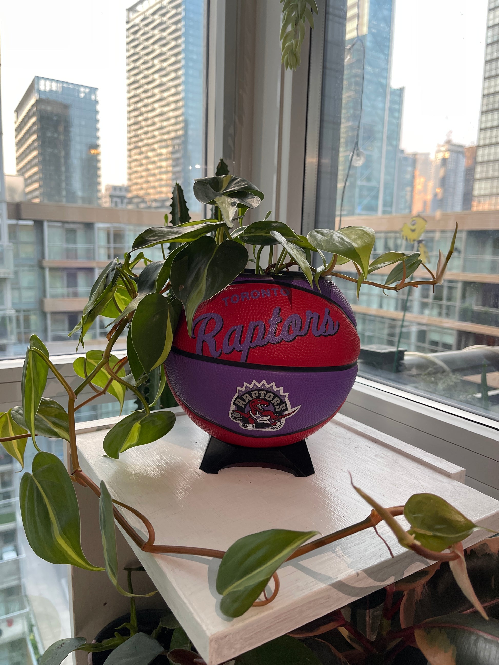 Mini Basketball Planter (Toronto Raptors)