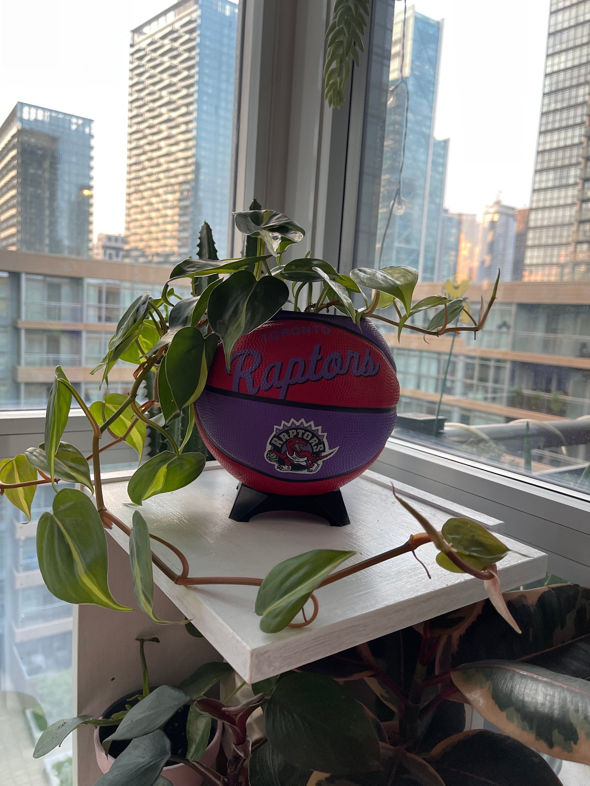 Mini Basketball Planter (Toronto Raptors)