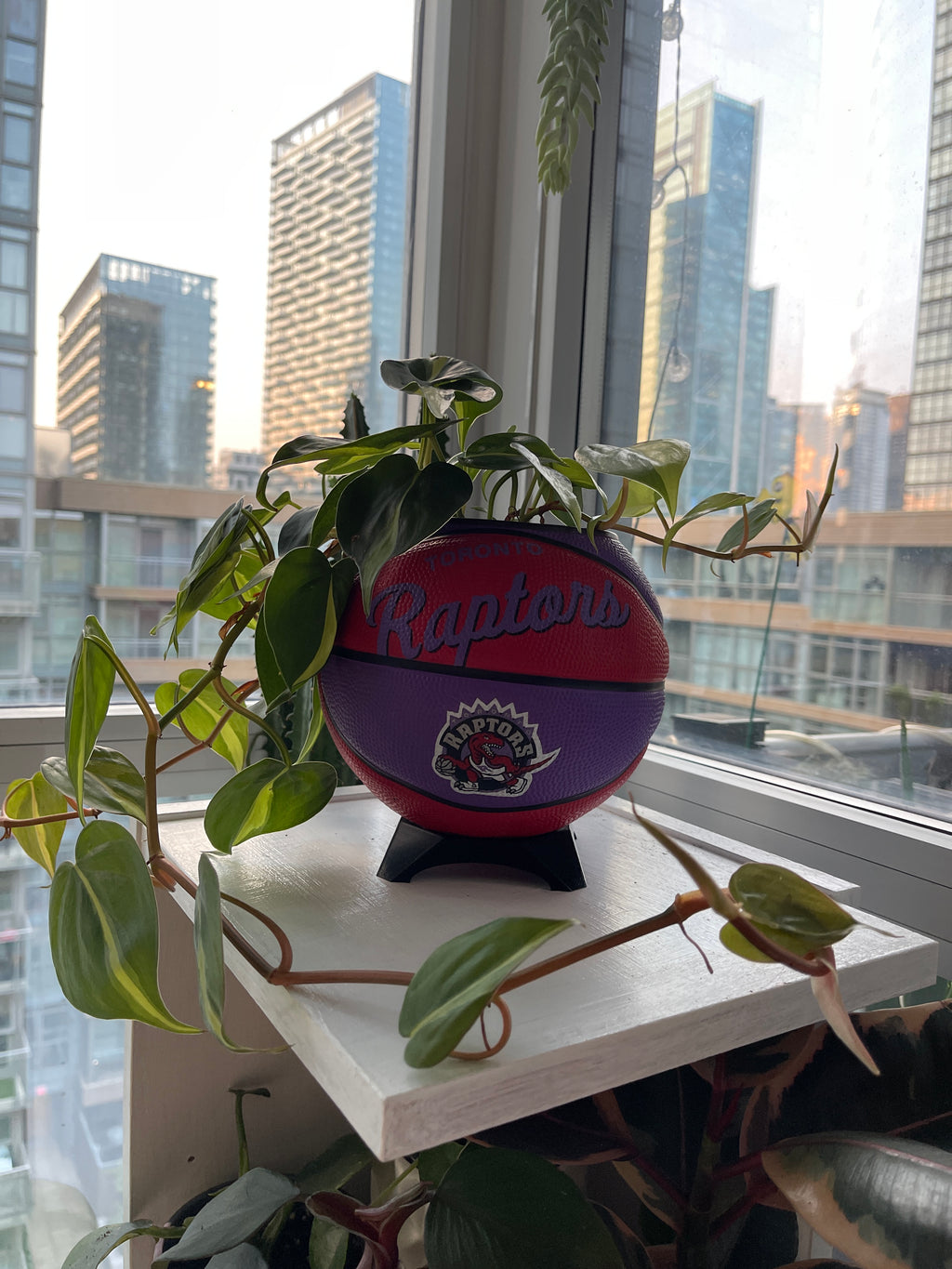 Mini Basketball Planter (Toronto Raptors)
