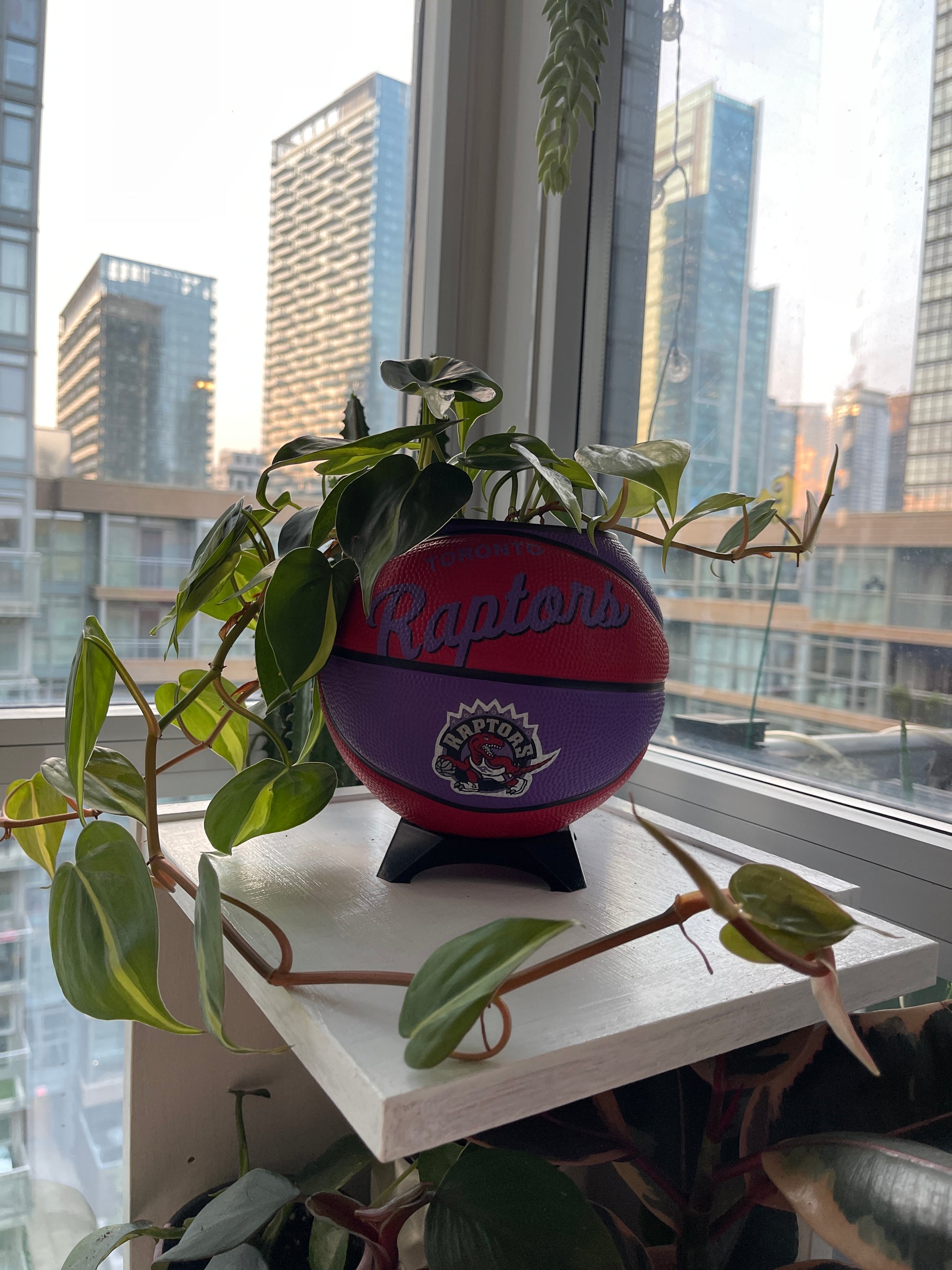Mini Basketball Planter (Toronto Raptors)