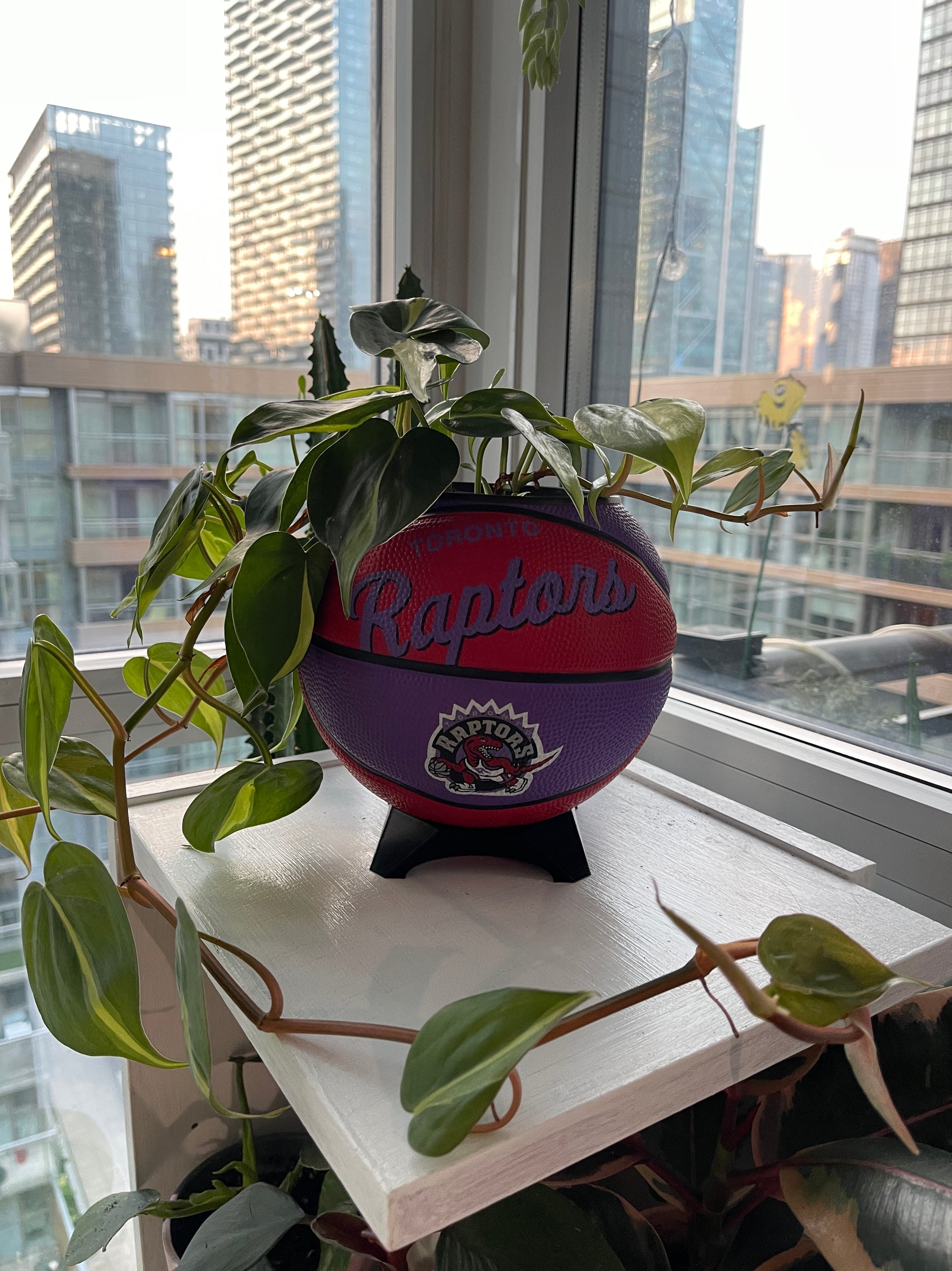Mini Basketball Planter (Toronto Raptors)