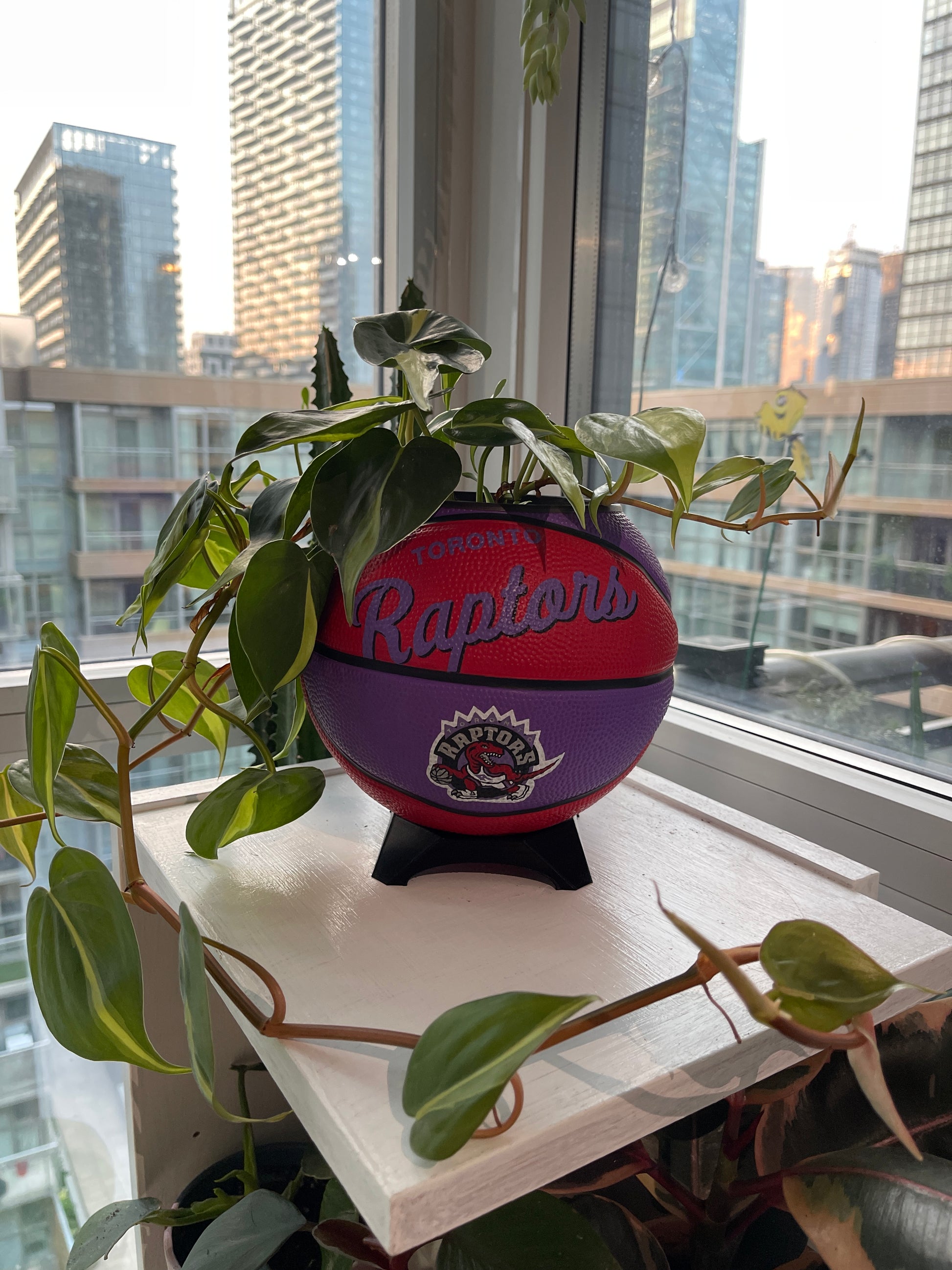 Mini Basketball Planter (Toronto Raptors)