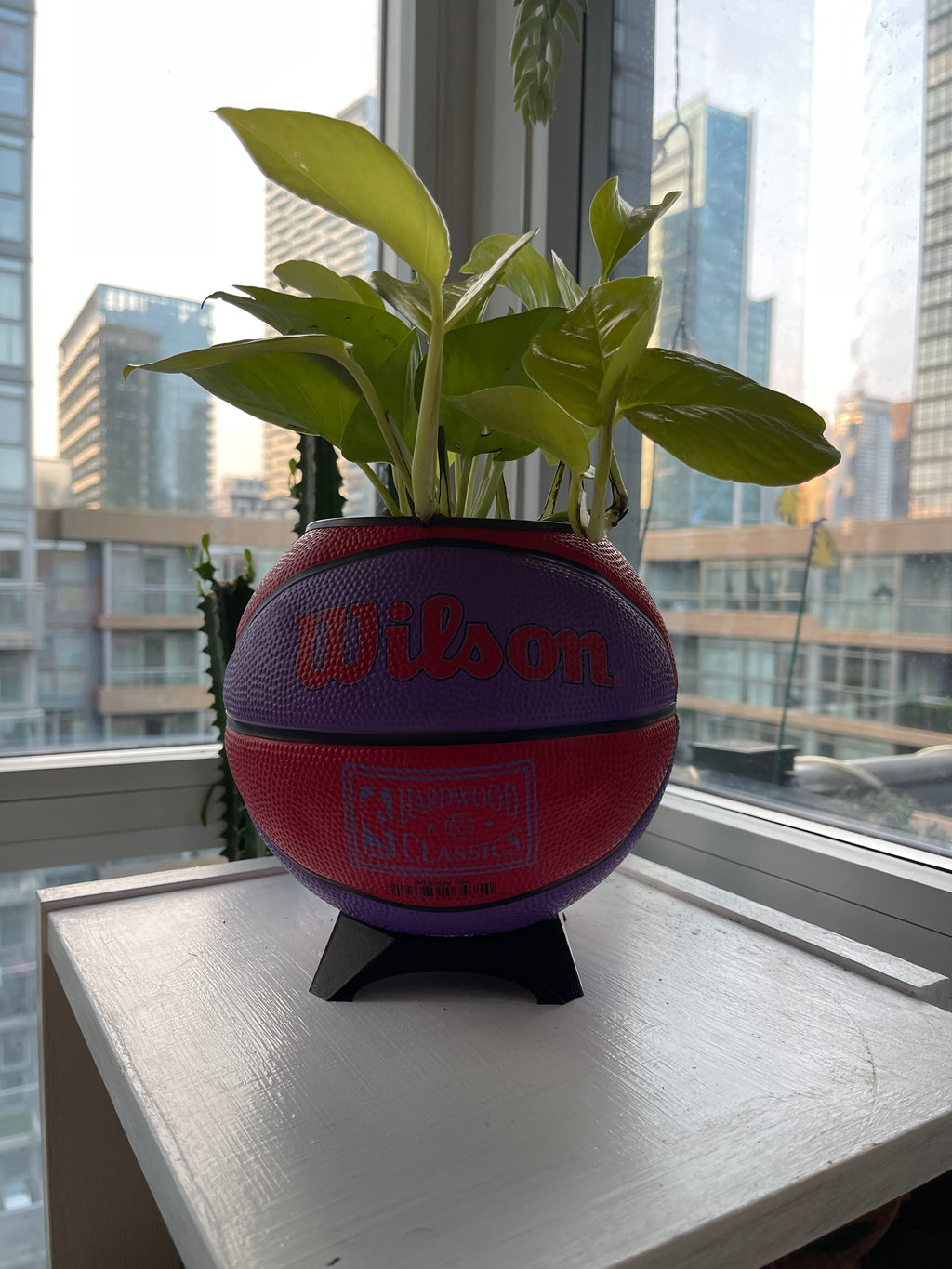 Mini Basketball Planter (Toronto Raptors)