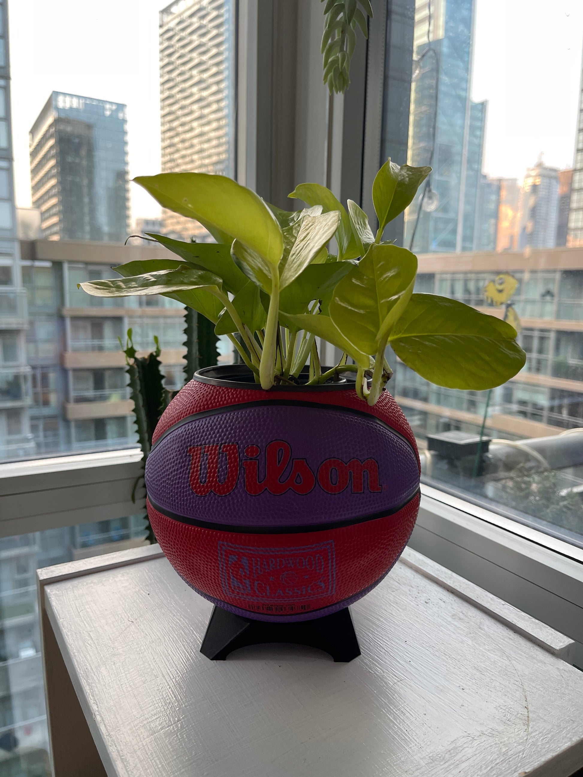 Mini Basketball Planter (Toronto Raptors)