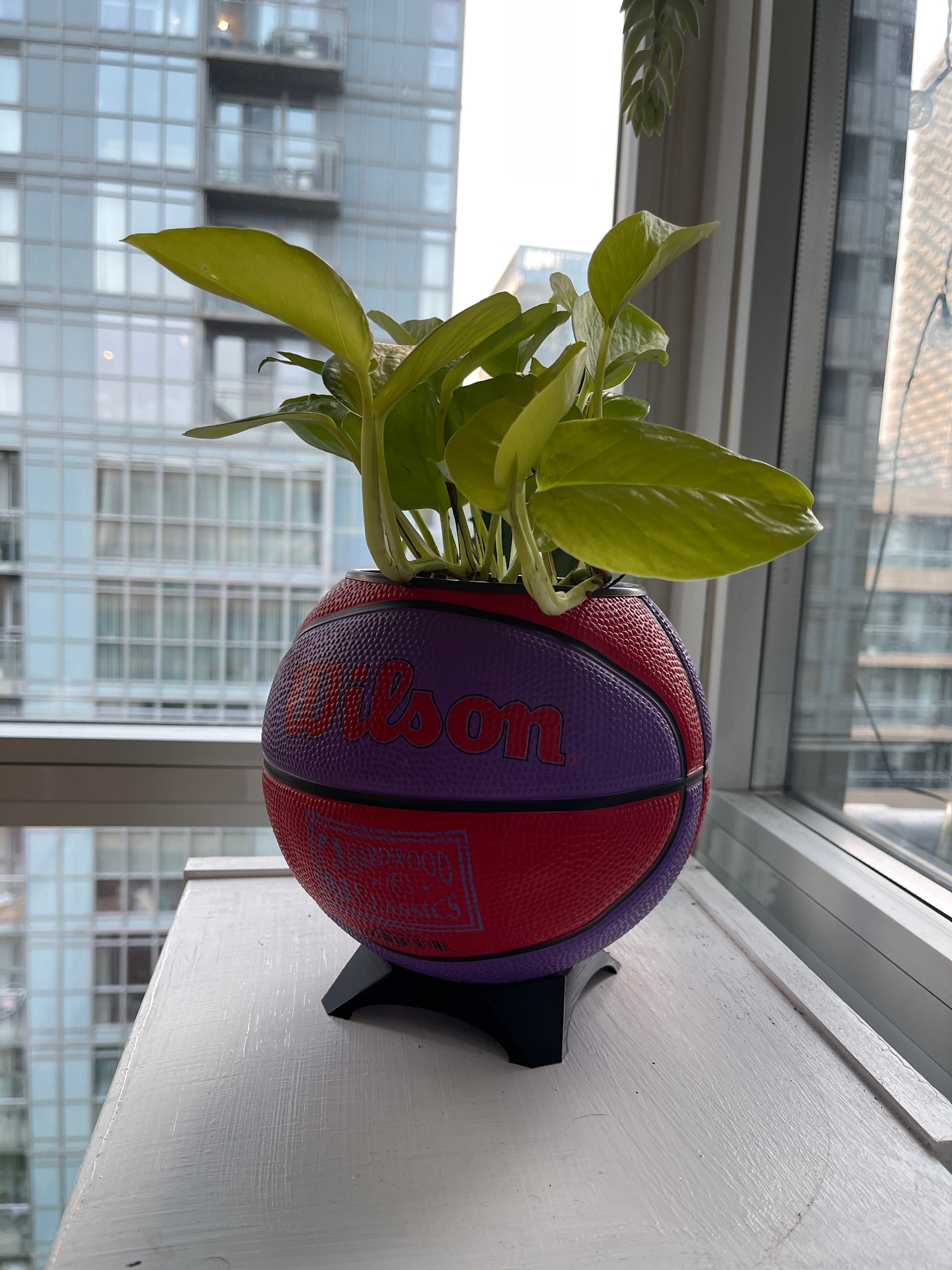 Mini Basketball Planter (Toronto Raptors)
