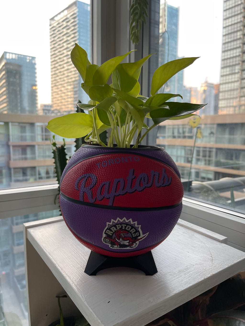 Mini Basketball Planter (Toronto Raptors)