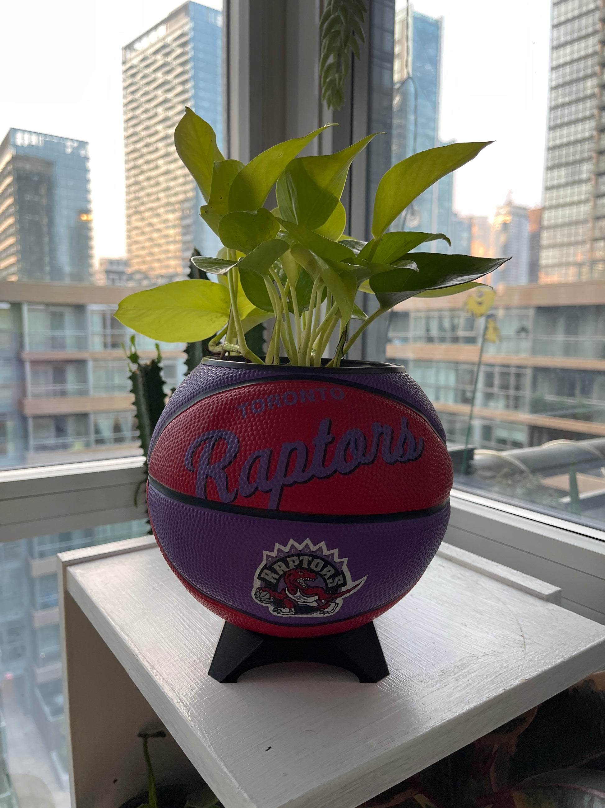 Mini Basketball Planter (Toronto Raptors)