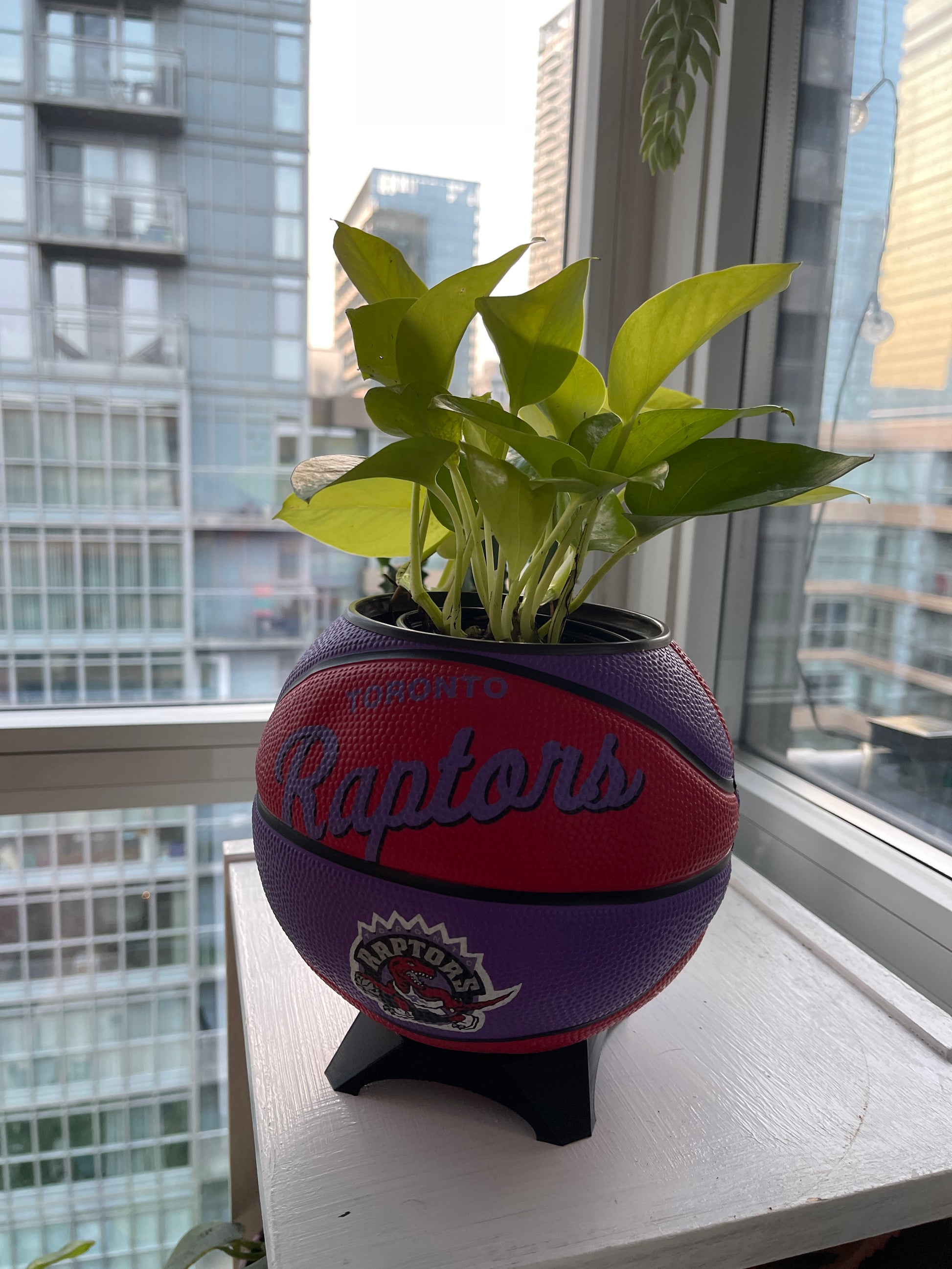 Mini Basketball Planter (Toronto Raptors)