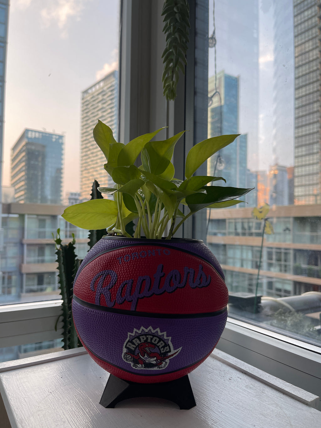 Mini Basketball Planter (Toronto Raptors)