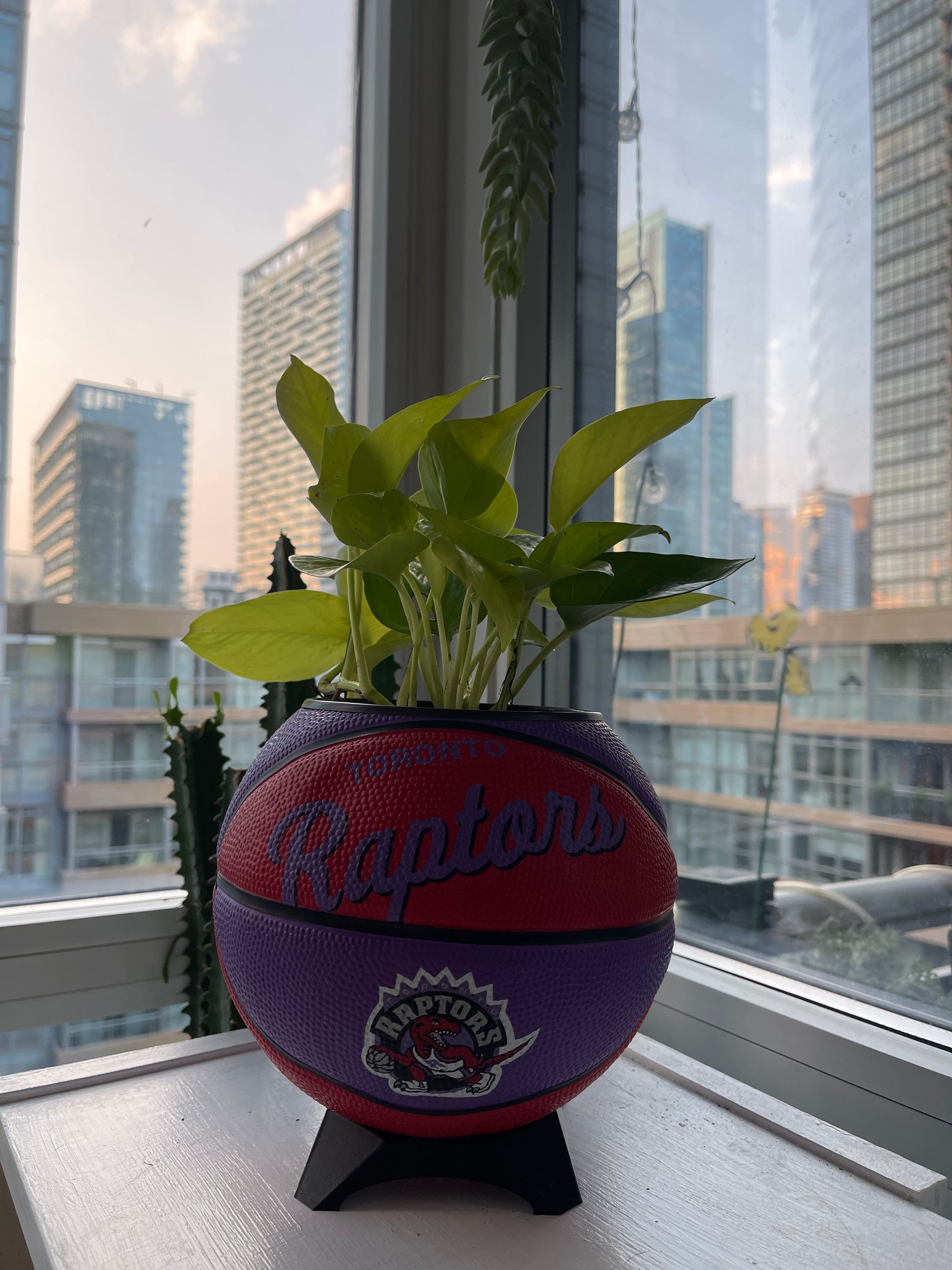 Mini Basketball Planter (Toronto Raptors)