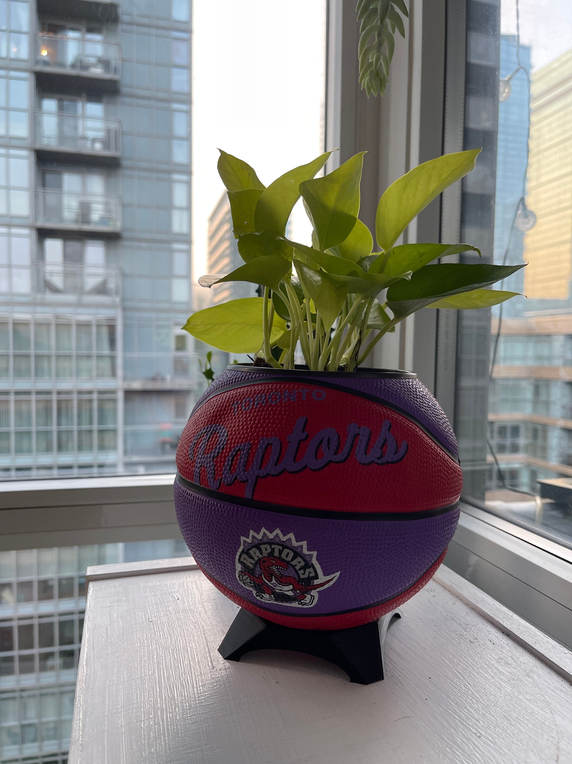 Mini Basketball Planter (Toronto Raptors)
