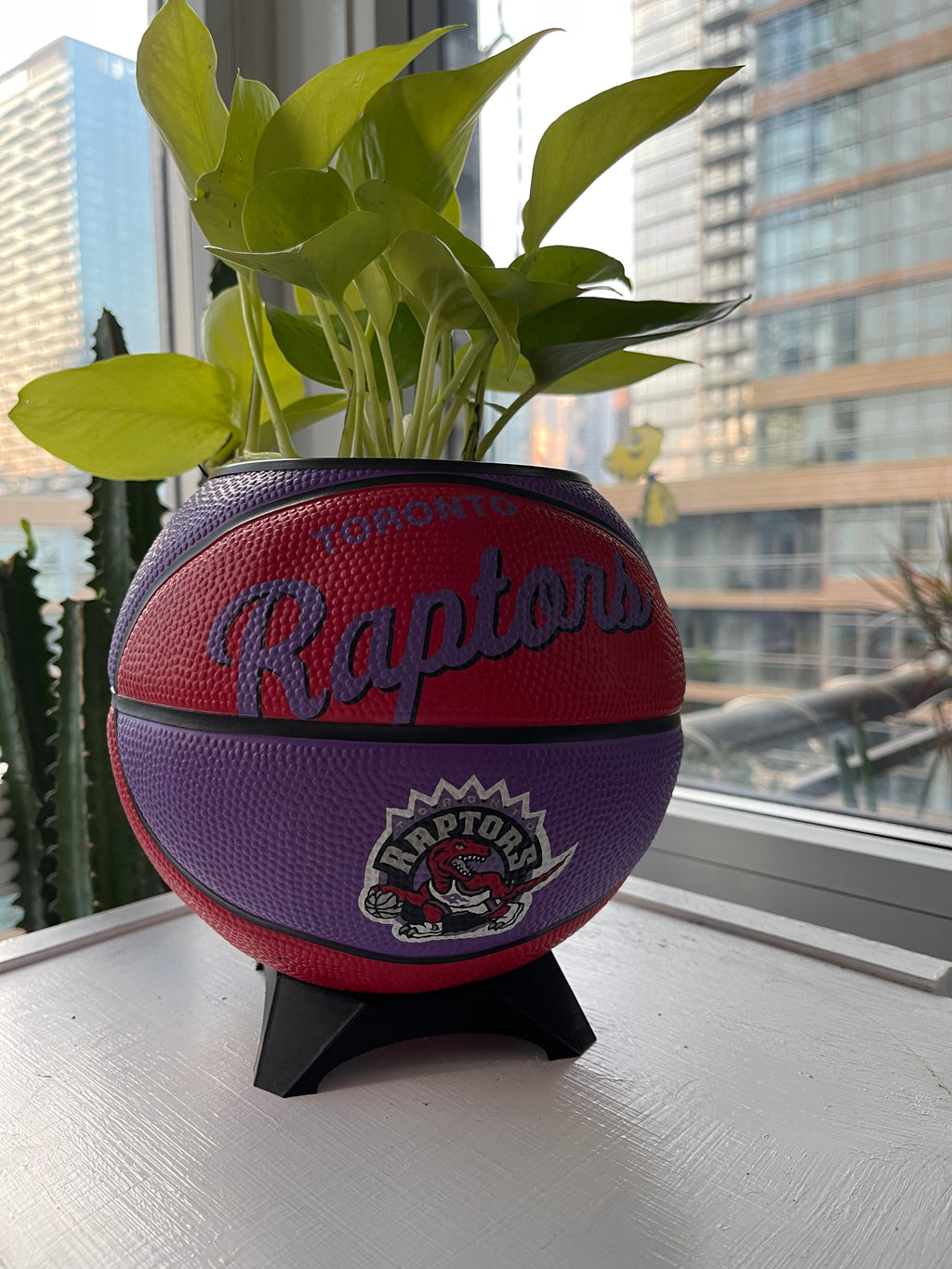 Mini Basketball Planter (Toronto Raptors)