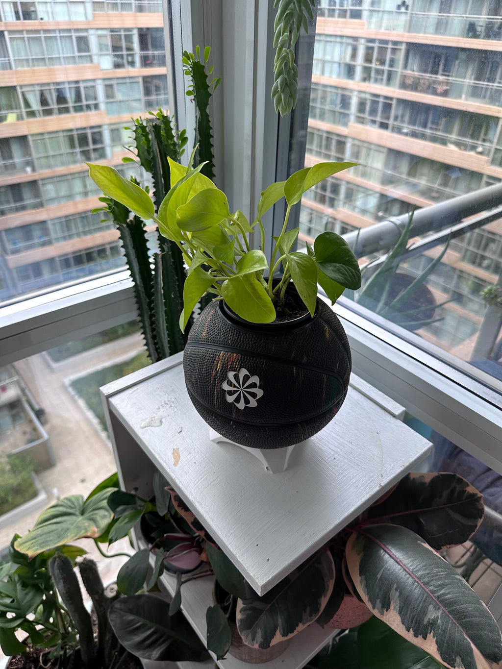 Nike Mini Basketball Planter (Graffiti)