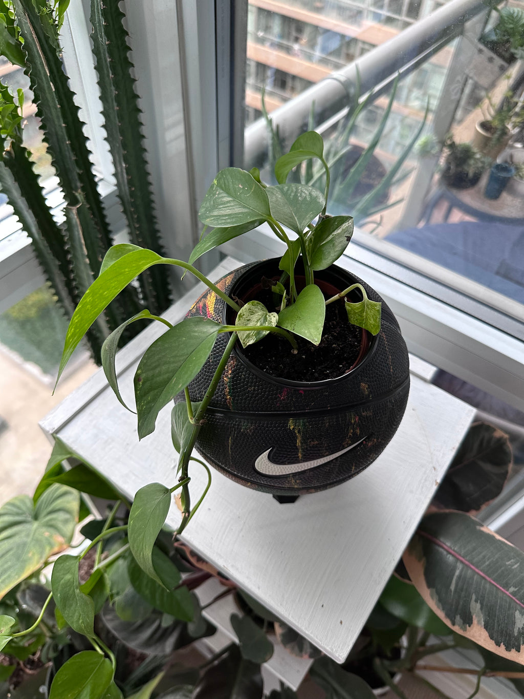 Nike Mini Basketball Planter (Graffiti)