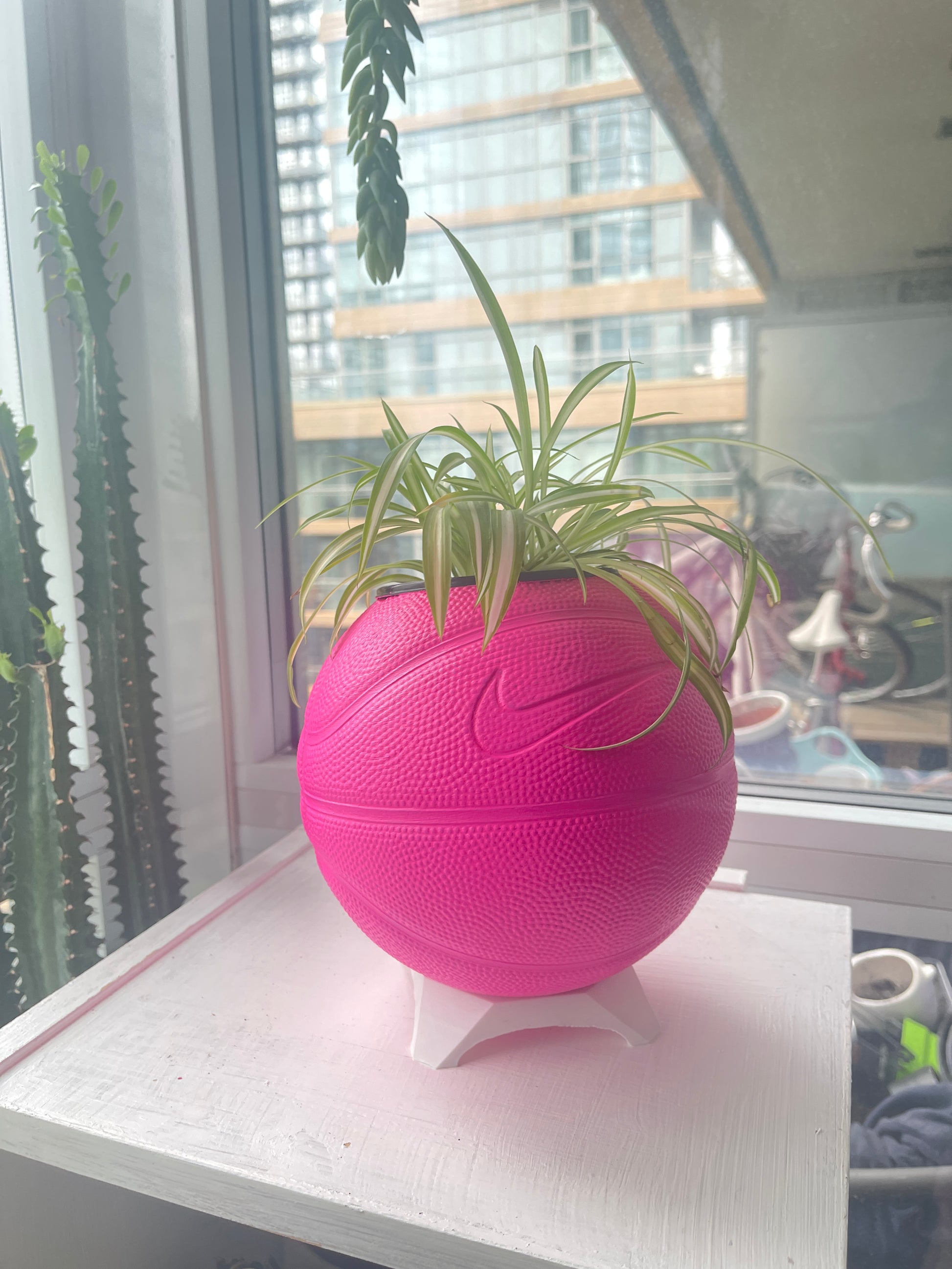 Nike Mini Basketball Planter (Hot Pink)