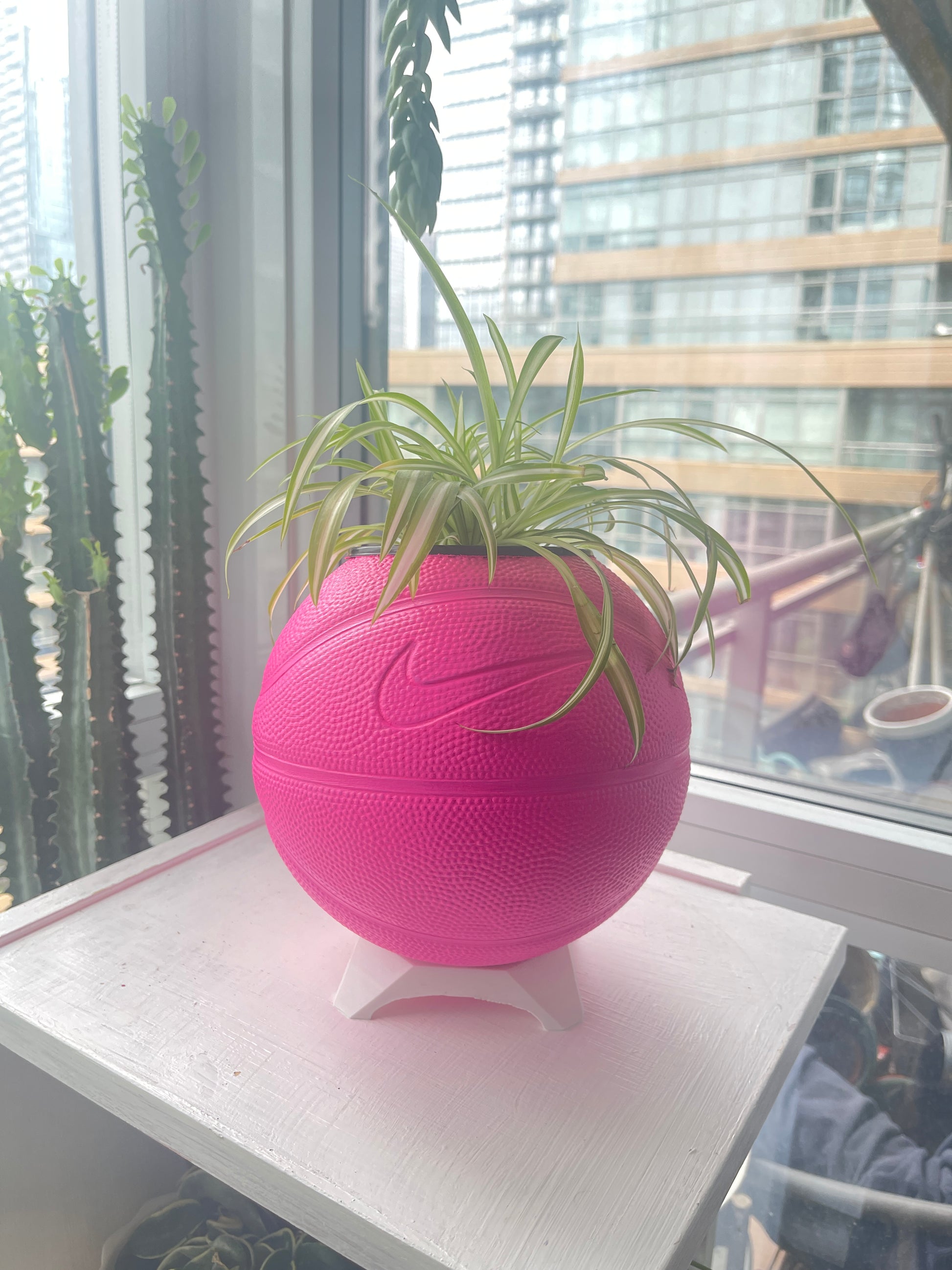 Nike Mini Basketball Planter (Hot Pink)