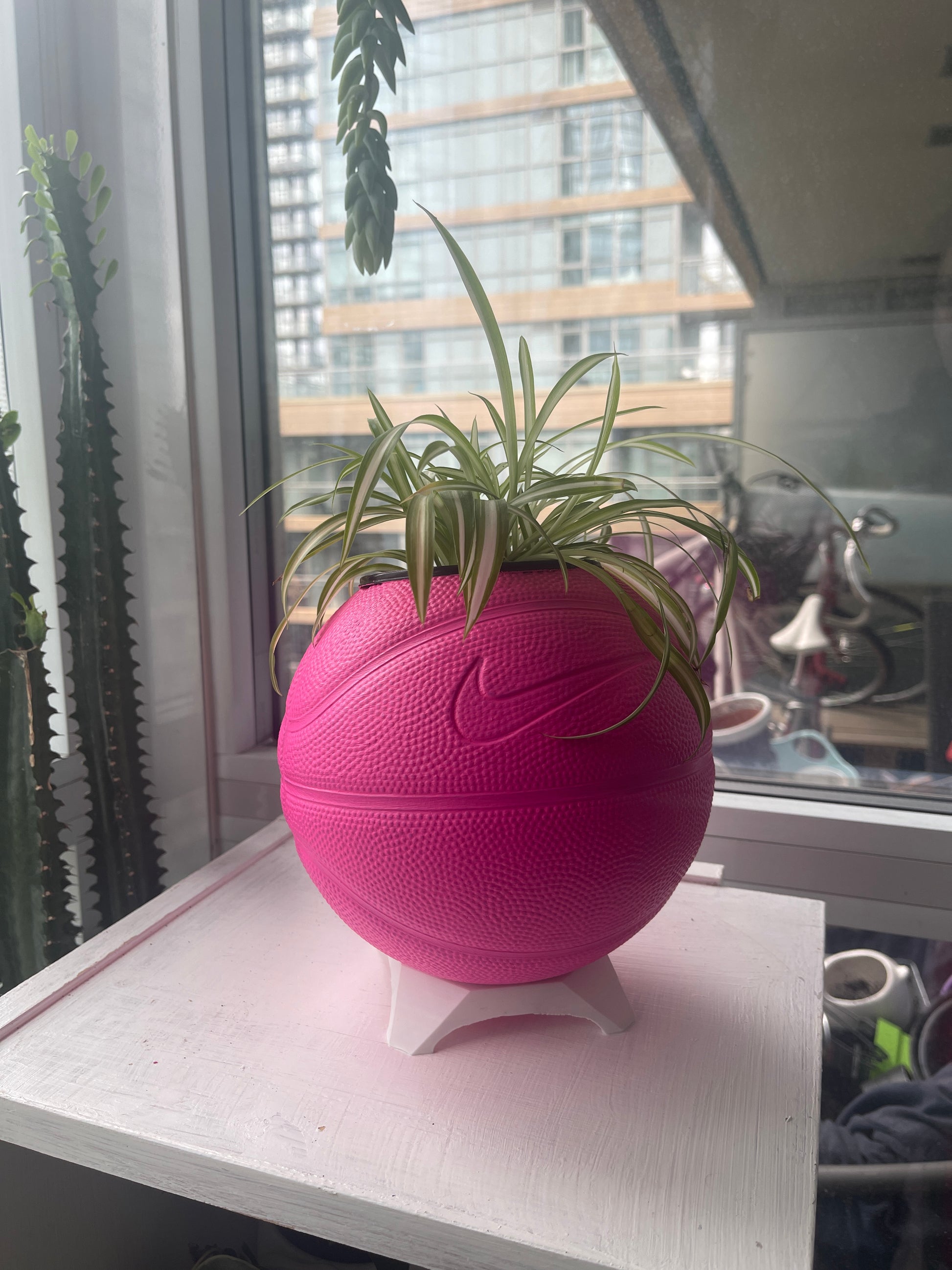 Nike Mini Basketball Planter (Hot Pink)