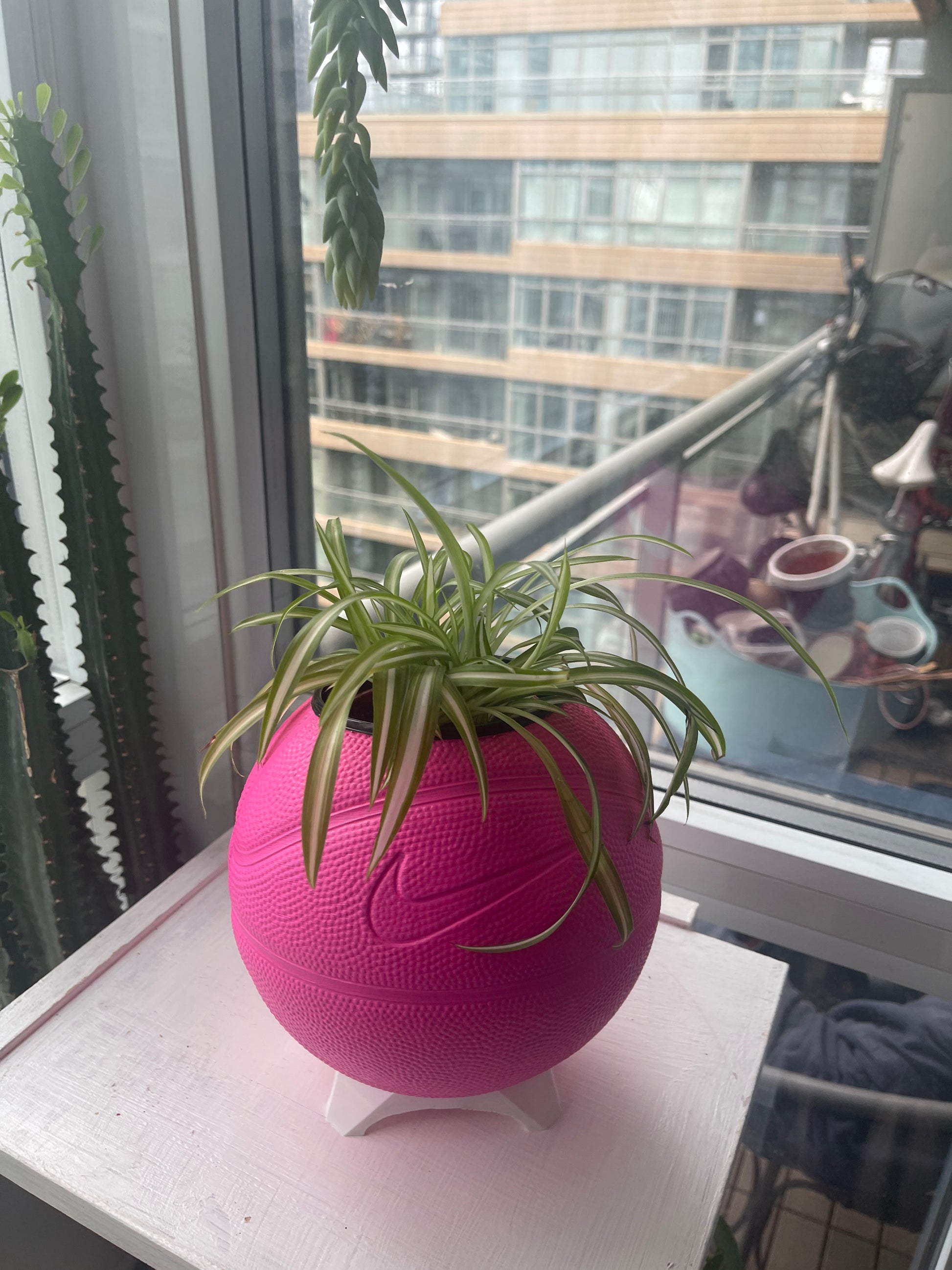 Nike Mini Basketball Planter (Hot Pink)