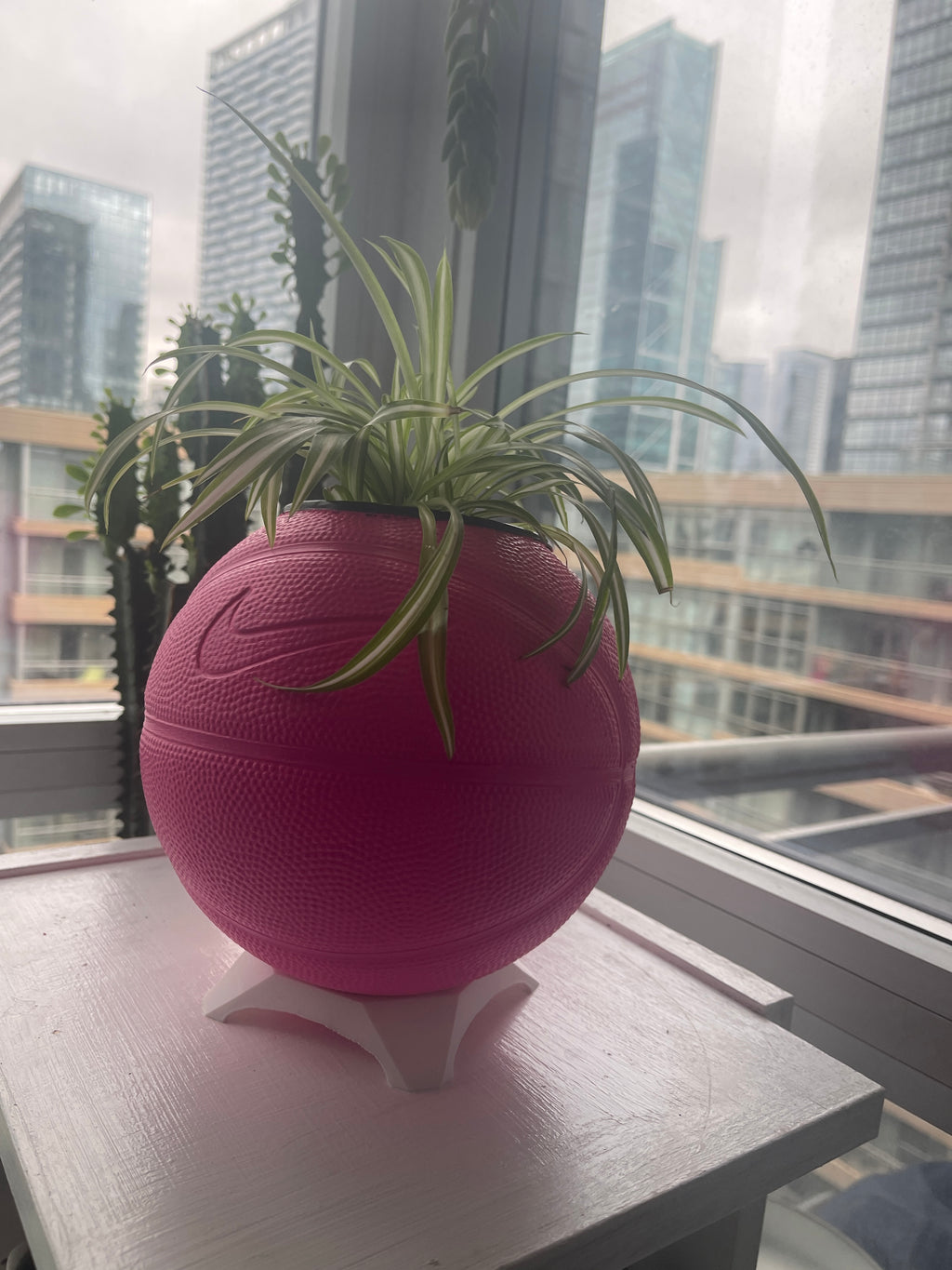 Nike Mini Basketball Planter (Hot Pink)