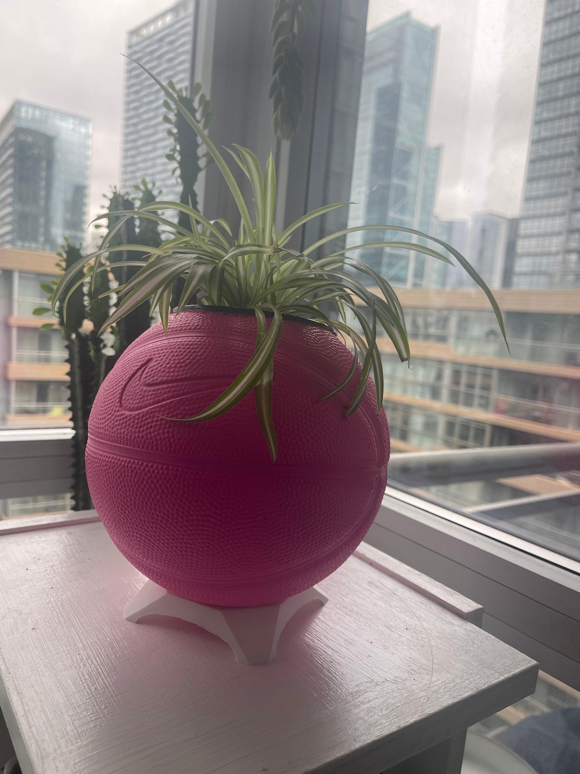 Nike Mini Basketball Planter (Hot Pink)