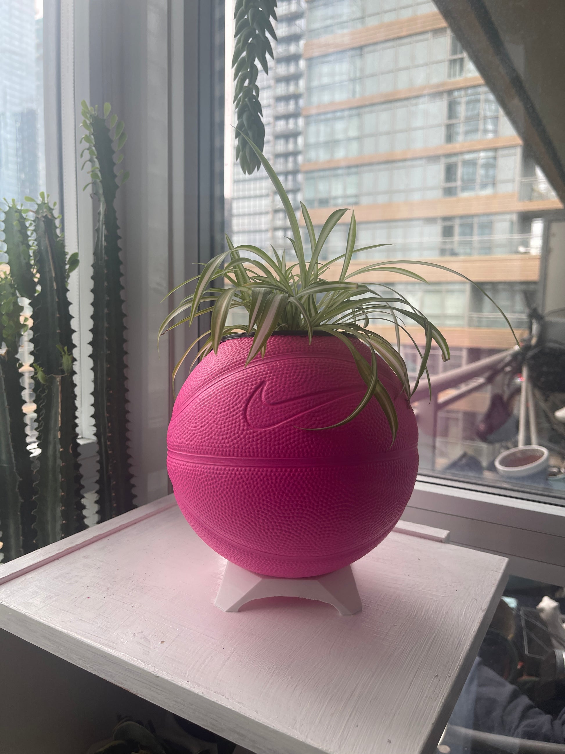 Nike Mini Basketball Planter (Hot Pink)