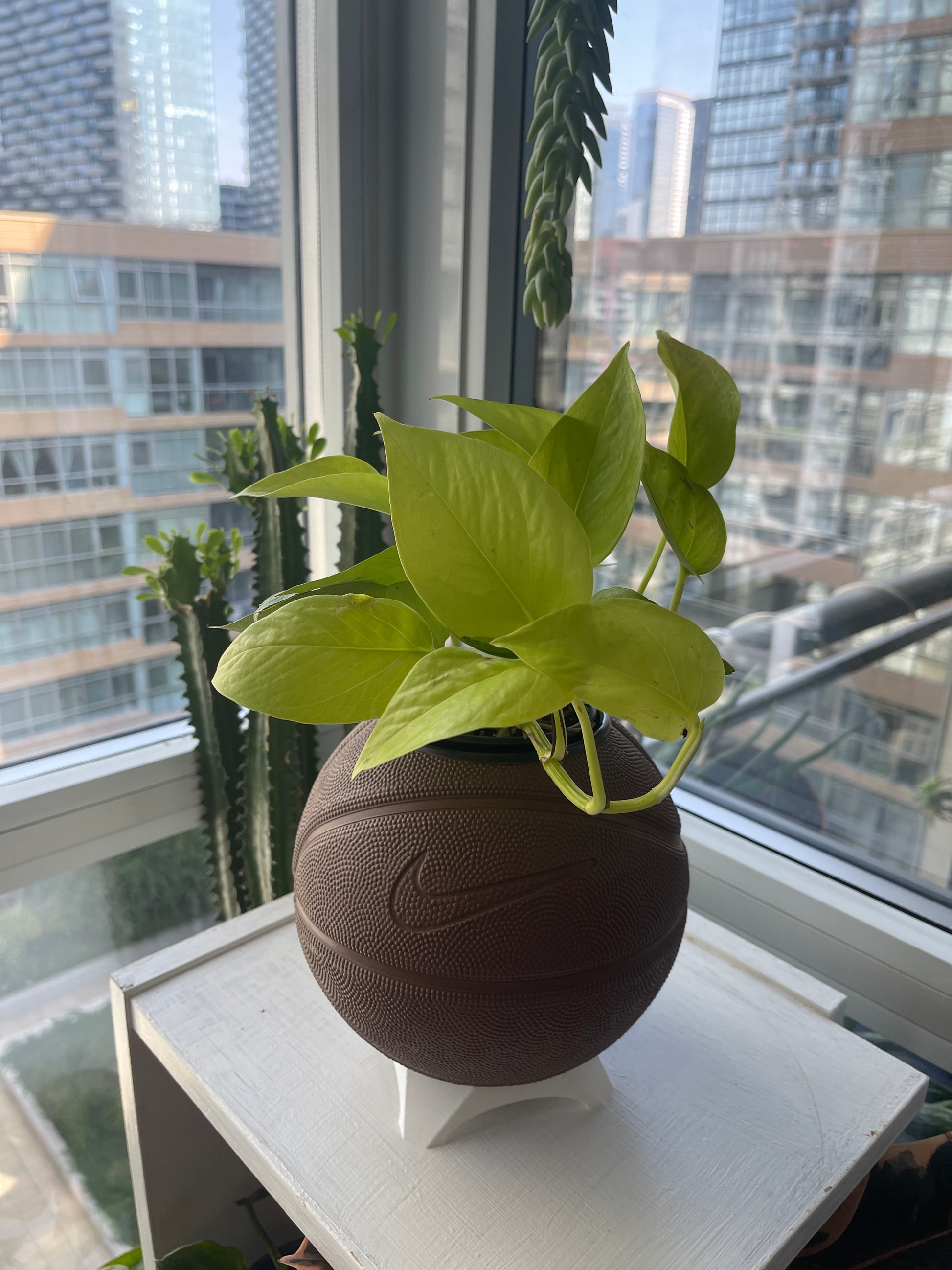 Nike Mini Basketball Planter (Chocolate)
