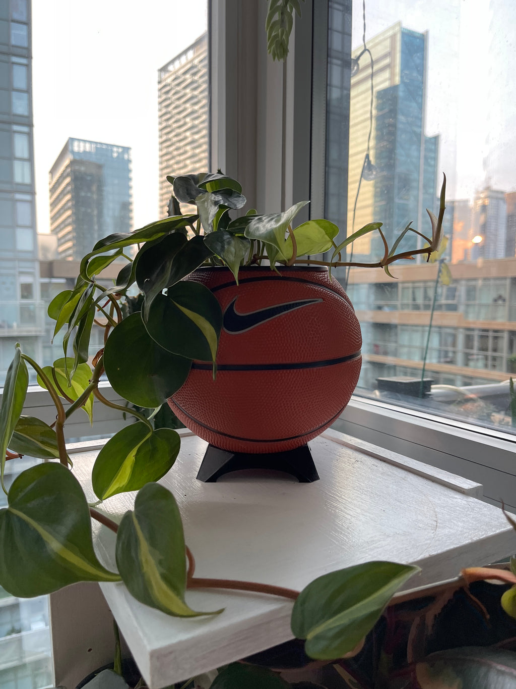 Nike Mini Basketball Planter (Original)