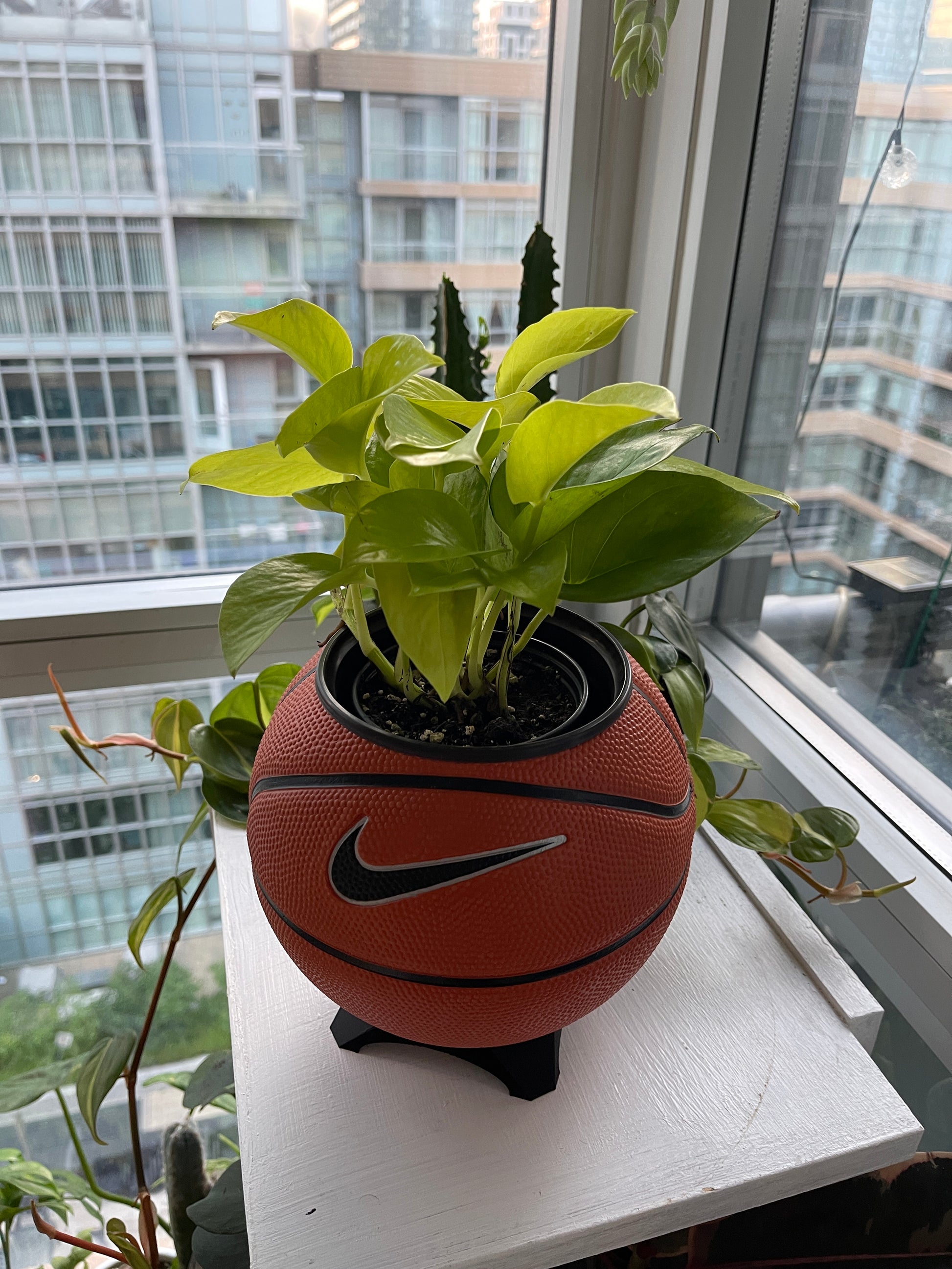 Nike Mini Basketball Planter (Original)