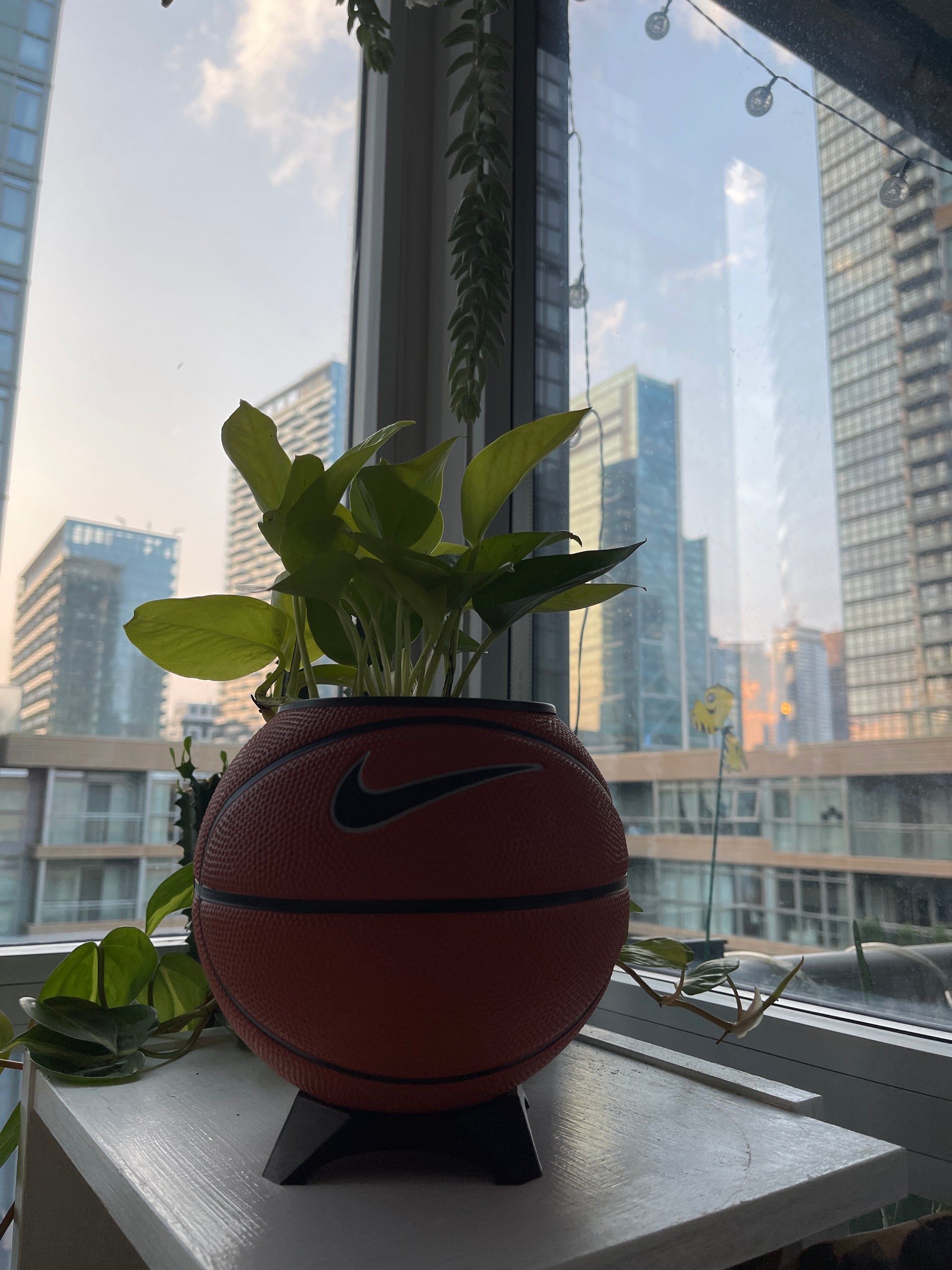 Nike Mini Basketball Planter (Original)