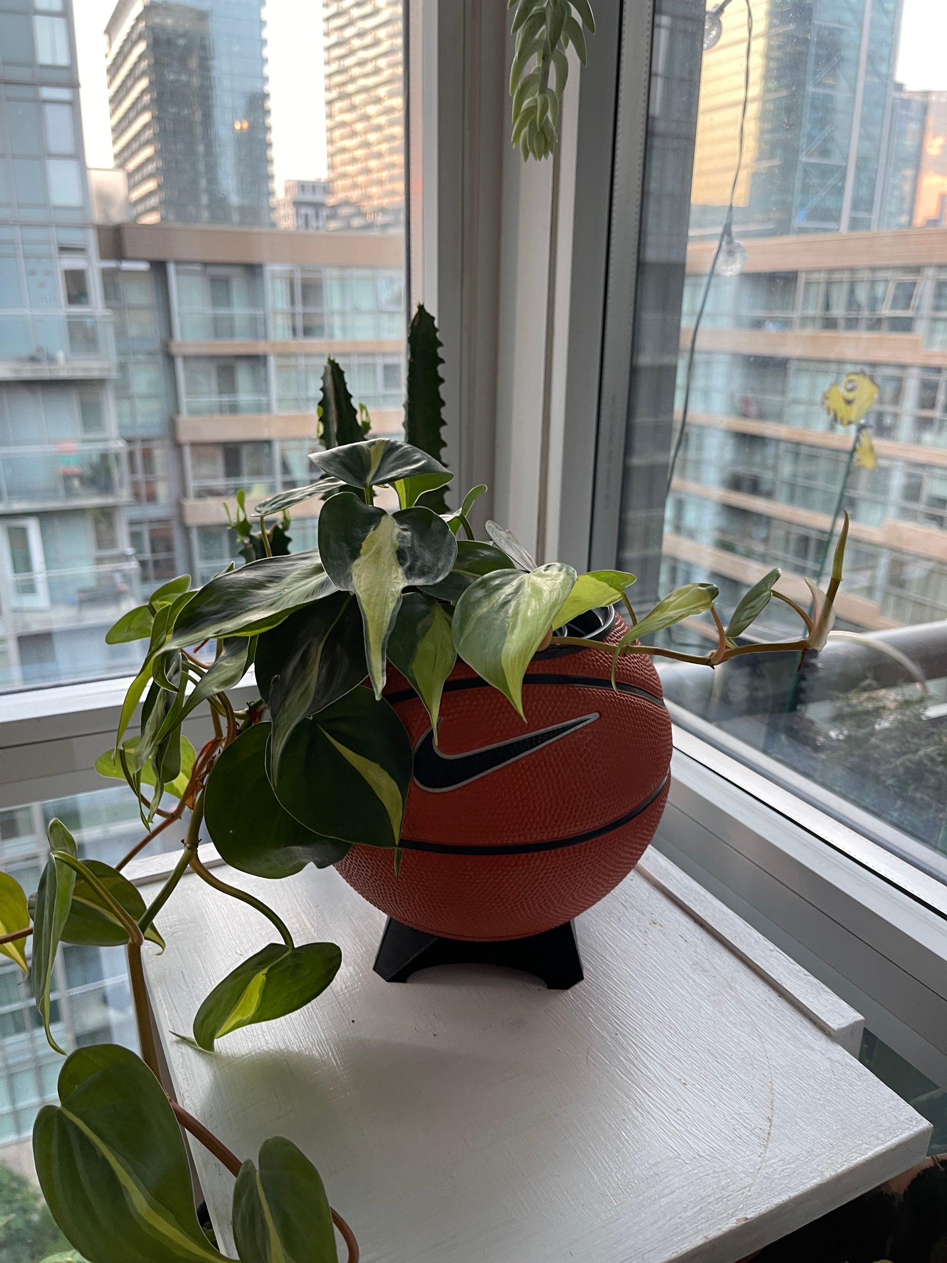 Nike Mini Basketball Planter (Original)