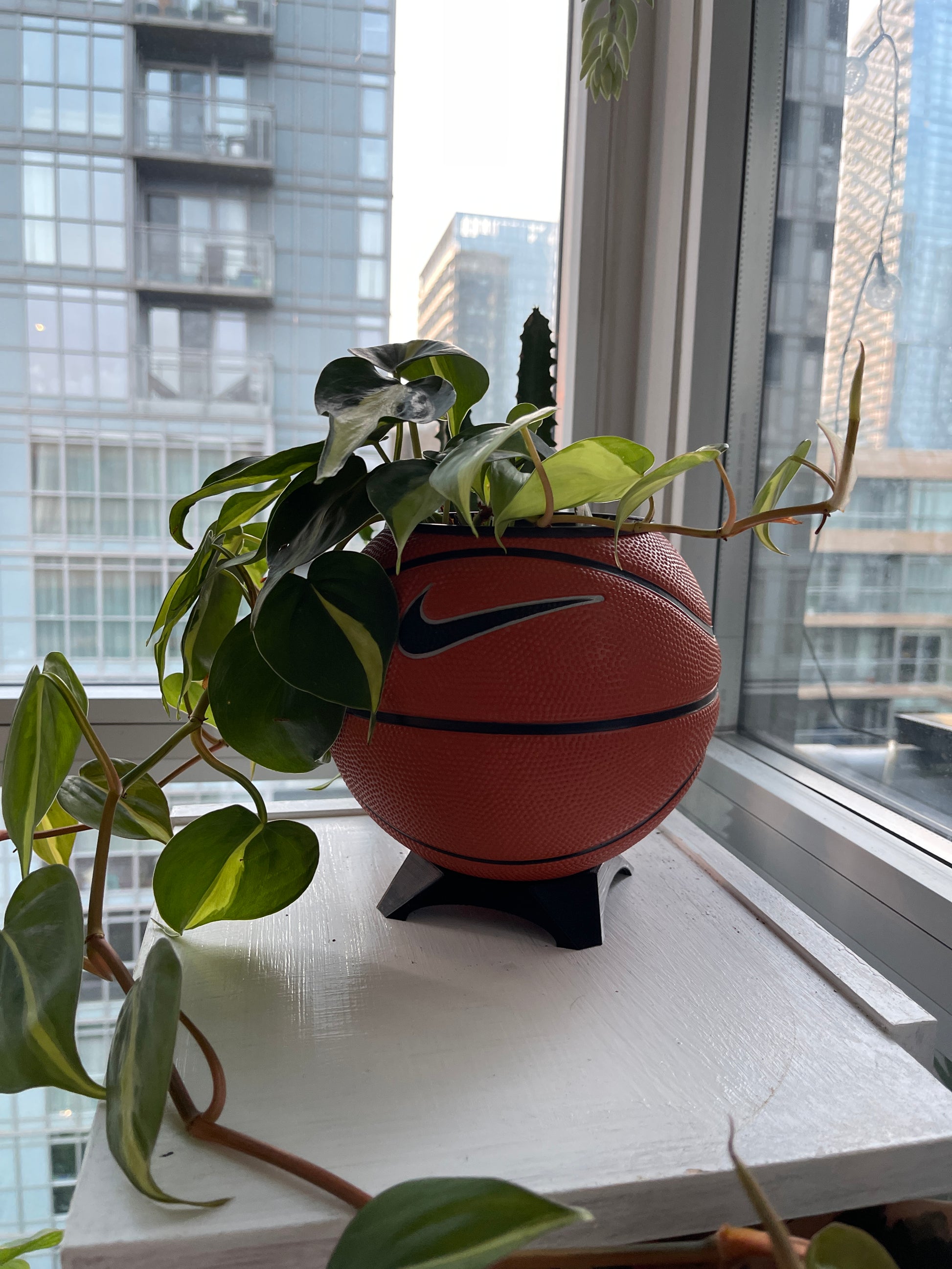 Nike Mini Basketball Planter (Original)