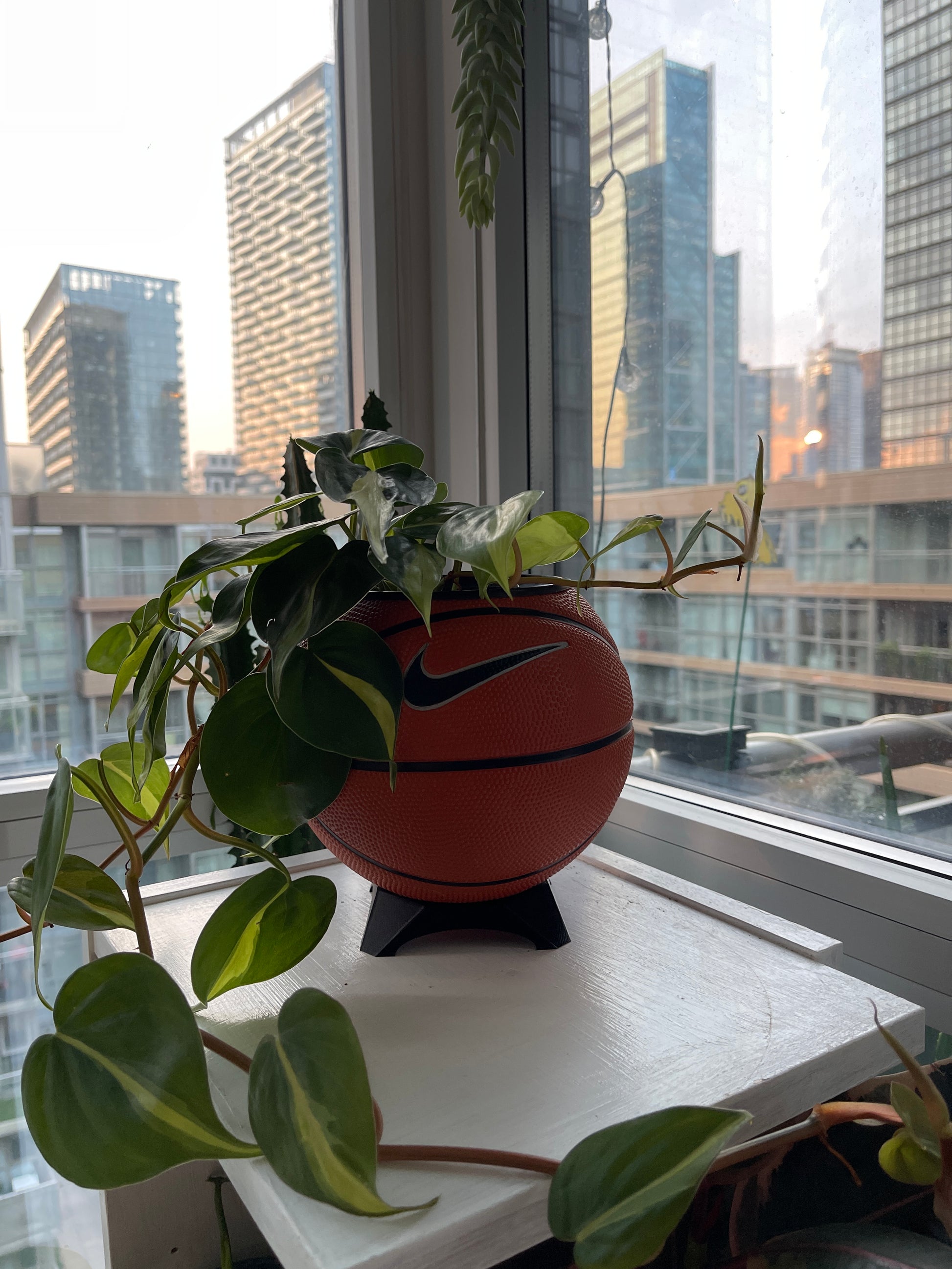 Nike Mini Basketball Planter (Original)