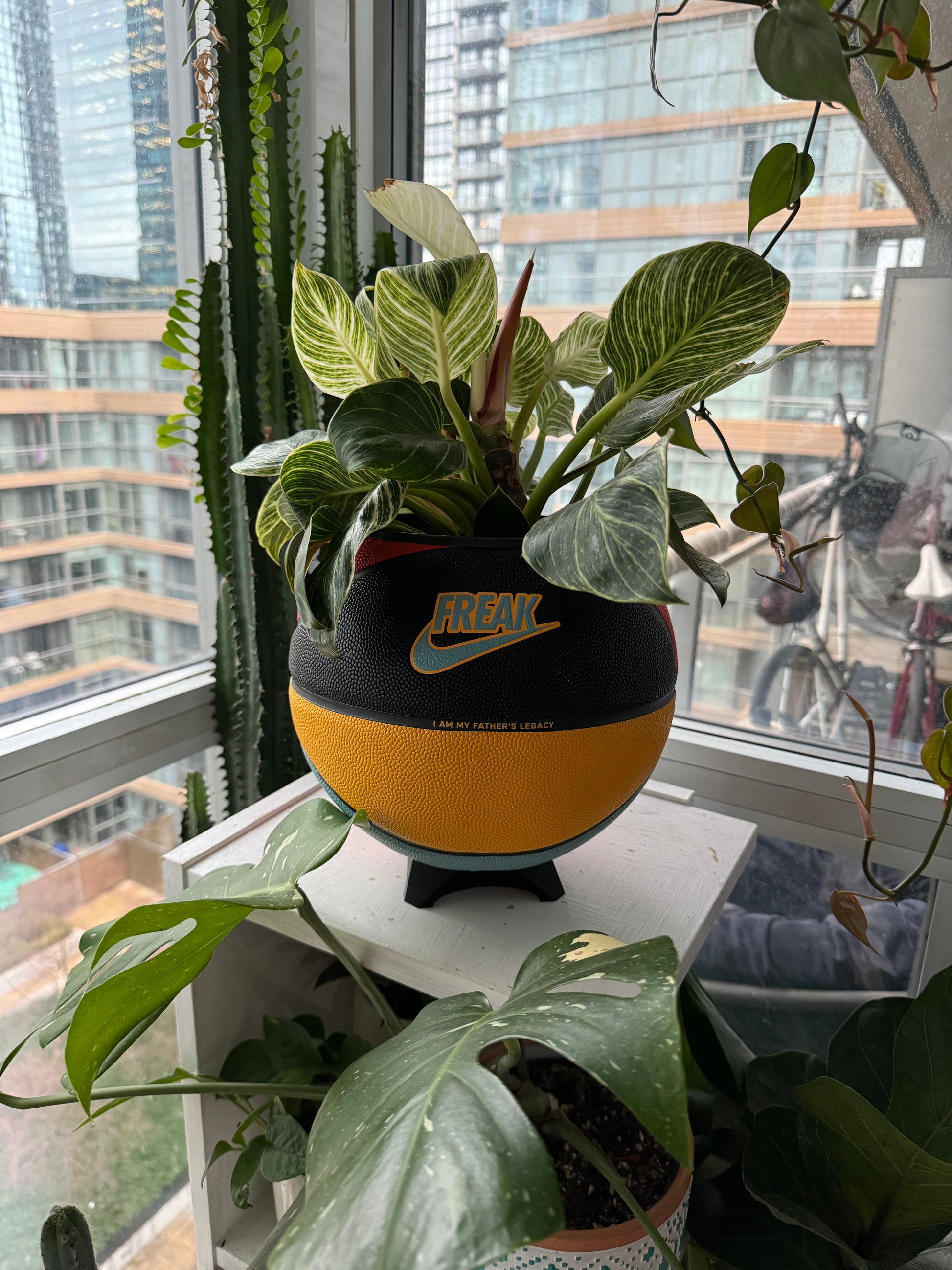 Nike Large Basketball Planter (My Father’s Legacy)