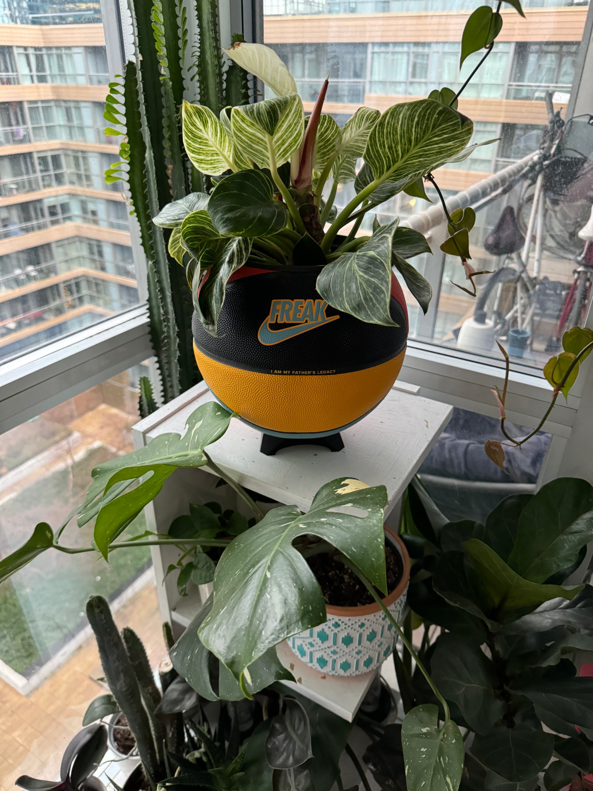 Nike Large Basketball Planter (My Father’s Legacy)