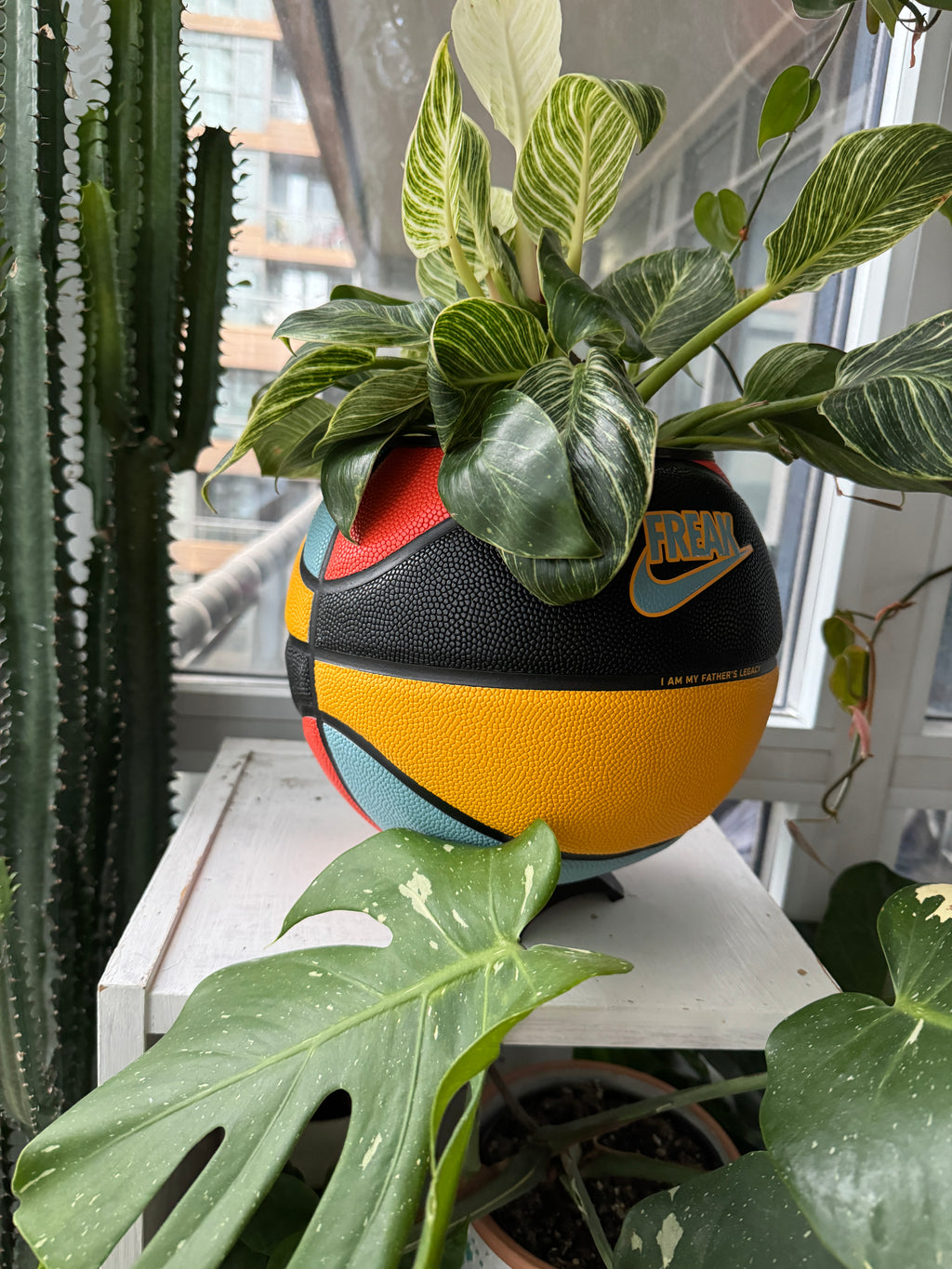 Nike Large Basketball Planter (My Father’s Legacy)